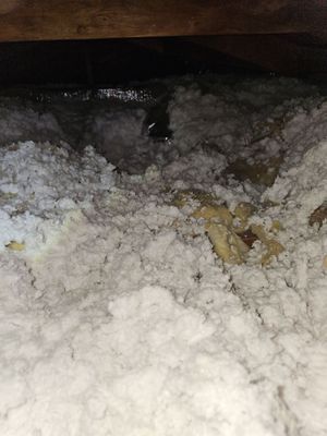 Reroof - Station Ave, Atwater