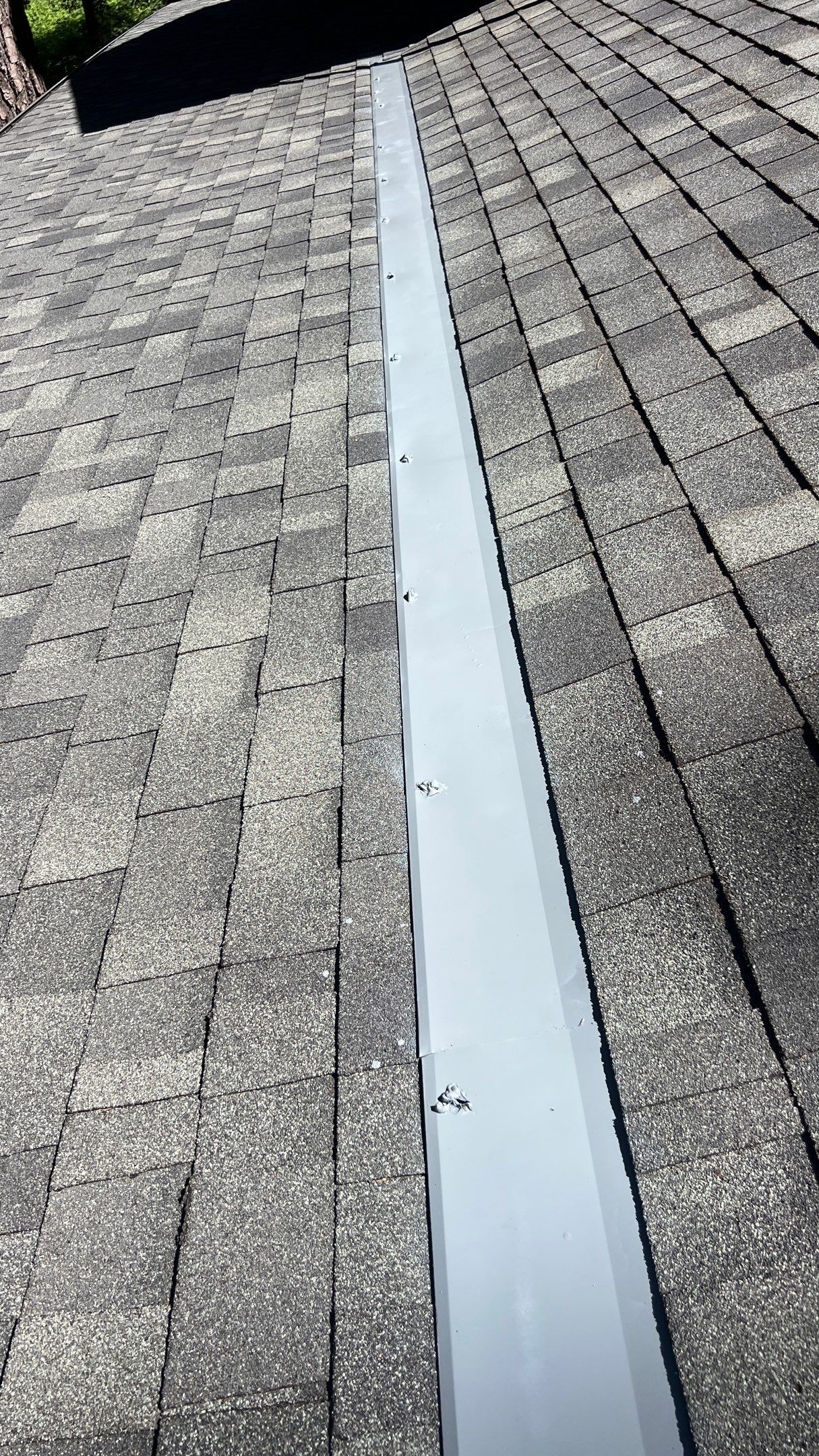 Roof Rejuvenation using Roof Maxx Treatment by Roof Maxx of Folsom