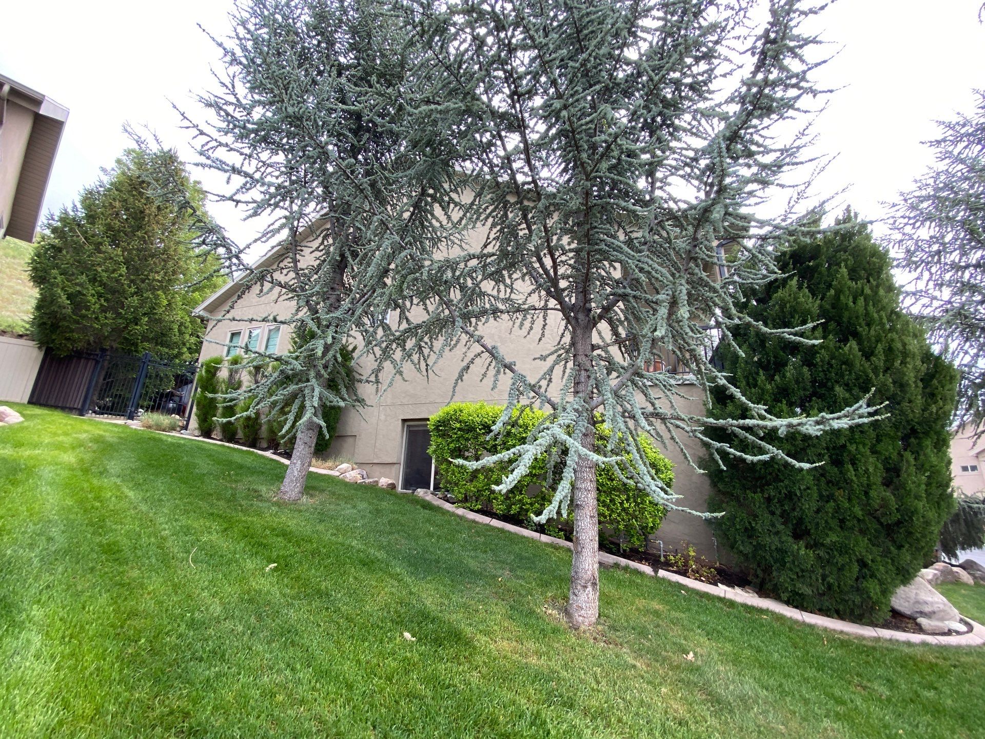 Project in Cottonwood Heights by Emerald Gotcha Gutters 