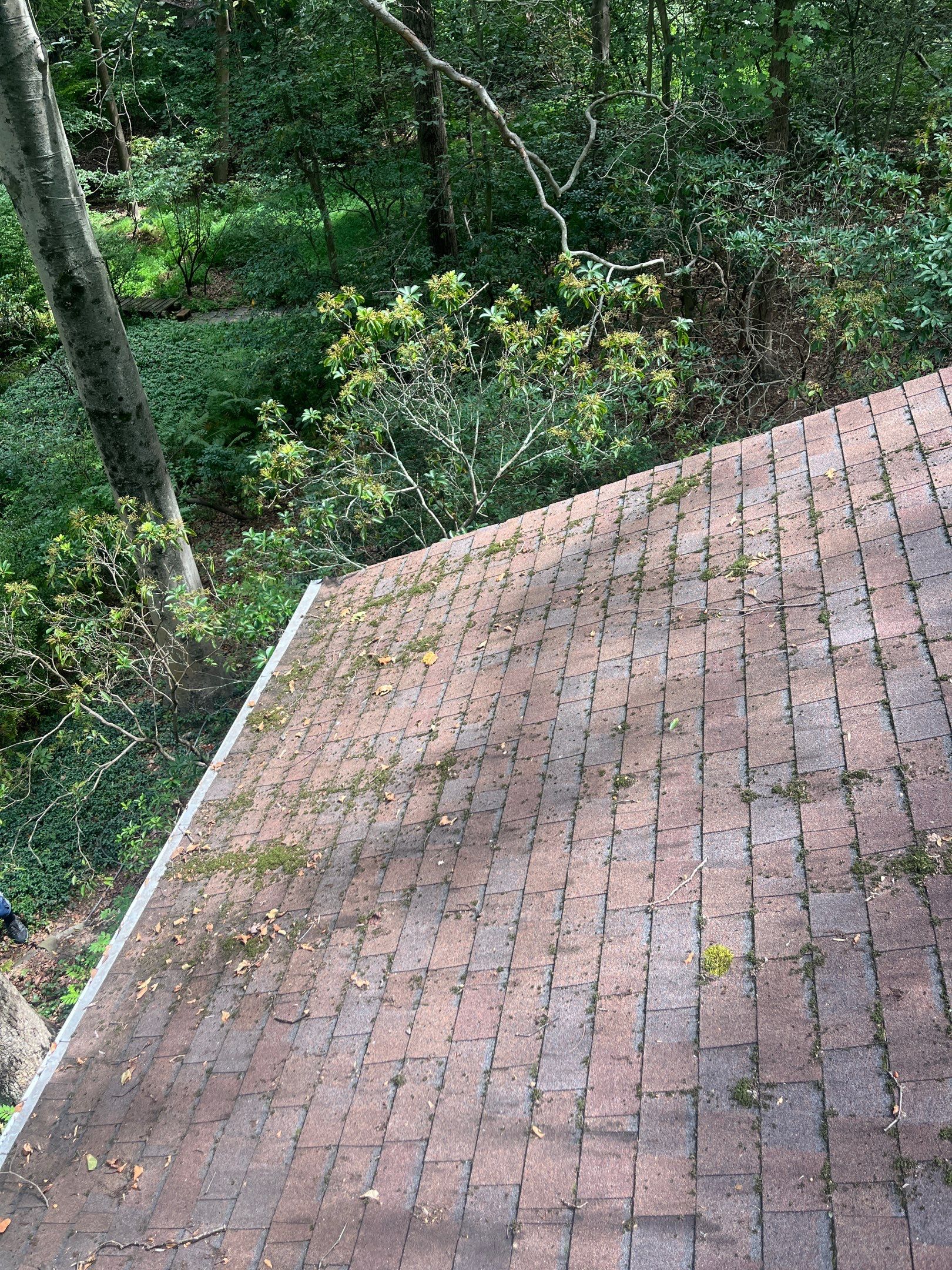Roof Cleaning in Lincroft, NJ by Clearview Washing