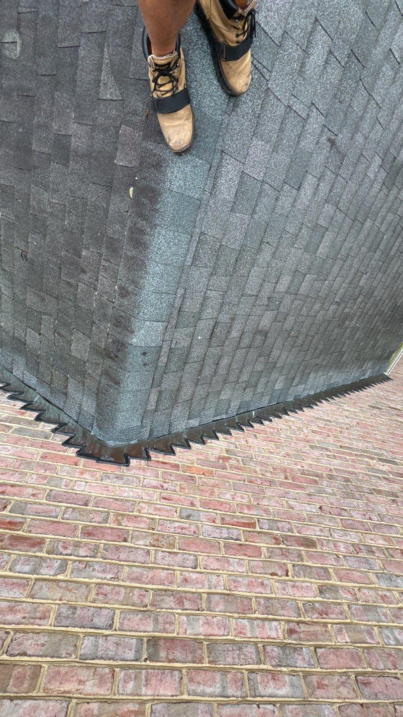 Alexandria: Residential Roof Replacement with CertainTeed Landmark Pro Designer Shingles in Max Def Moire Black by RM Banning, Inc.
