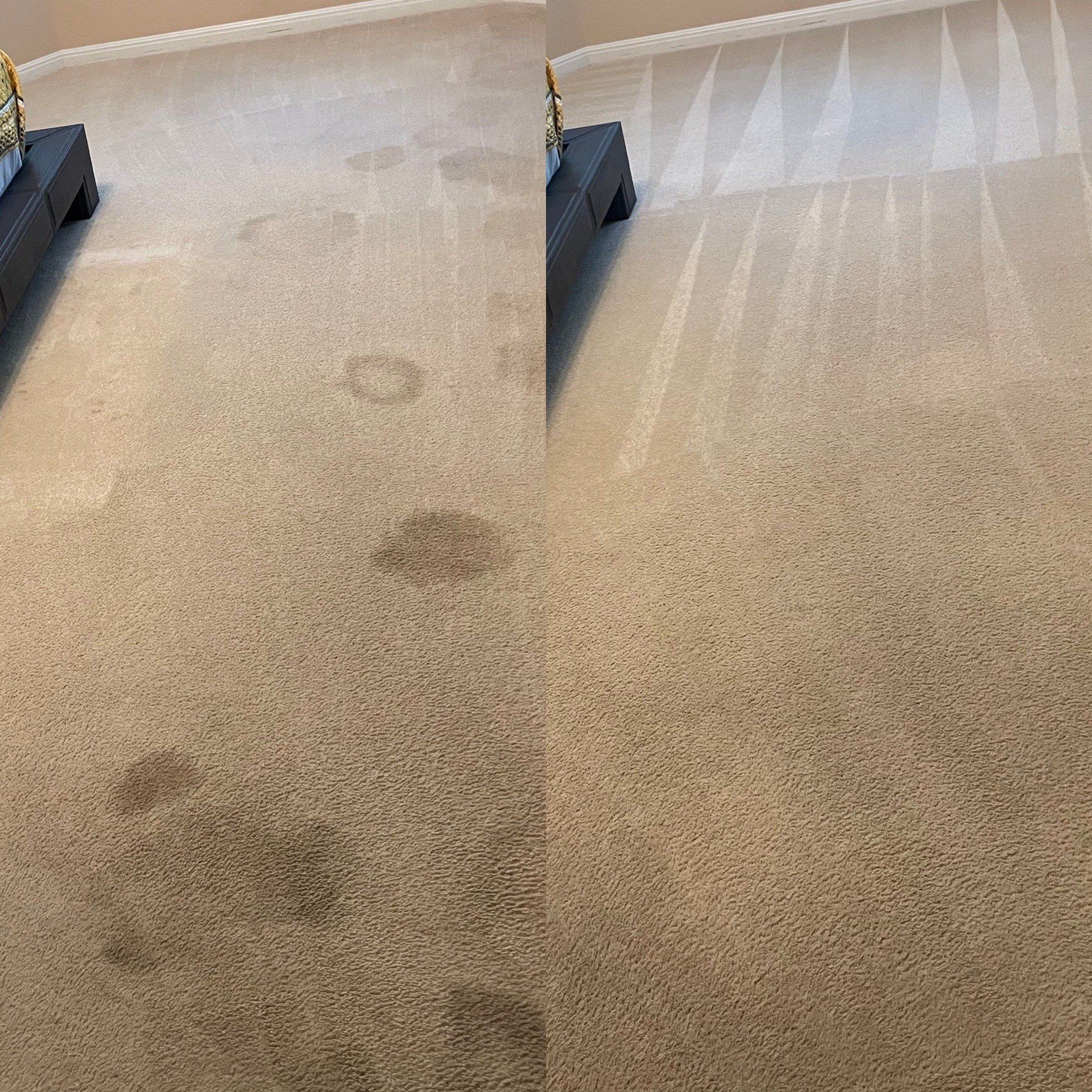 carpet cleaning service removing stains and restoring cleanliness to beige carpet in a residential setting