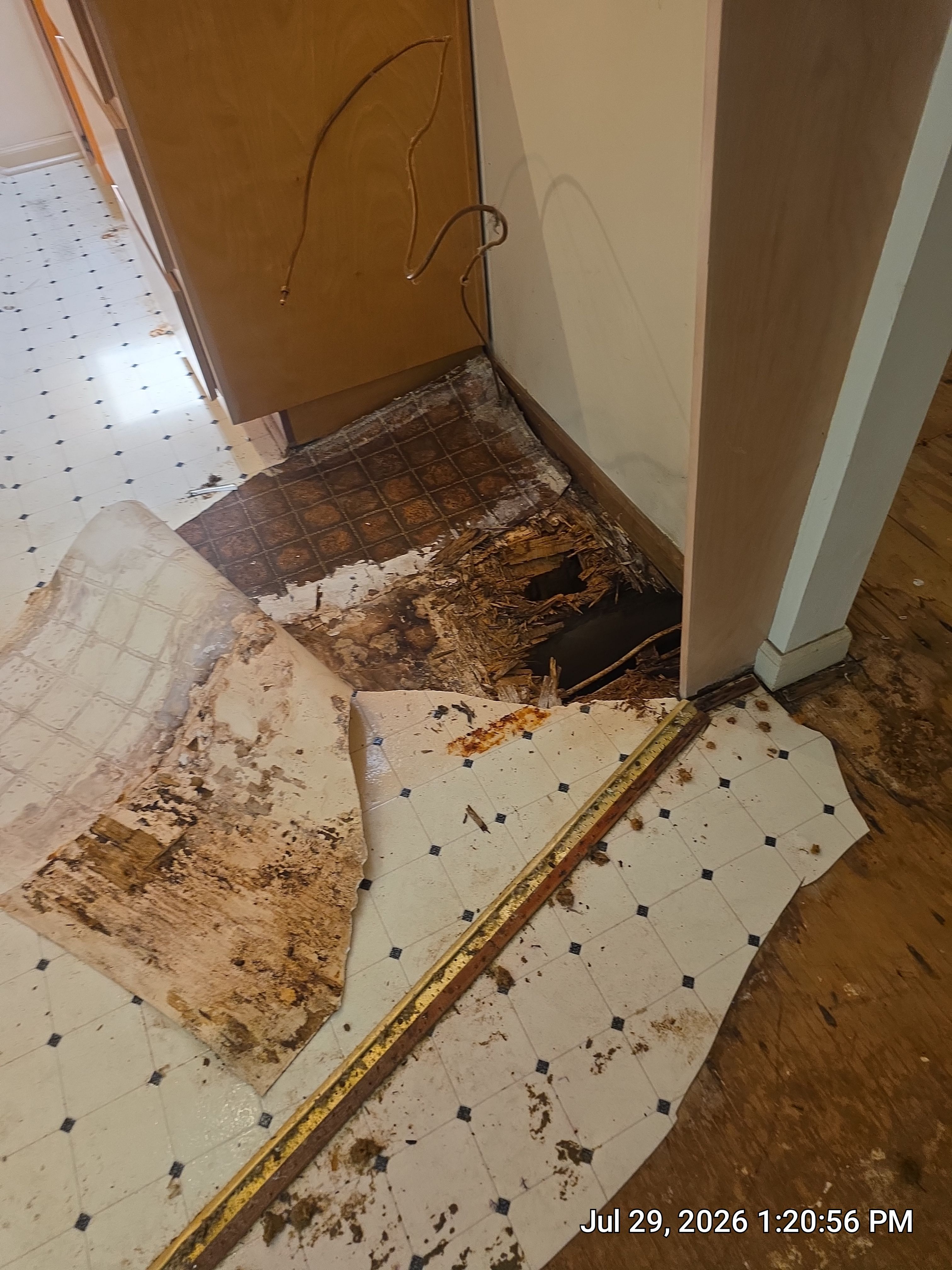 Full Home Subfloor Restoration and Luxury Vinyl Flooring Installation by Flooring Xpress CO