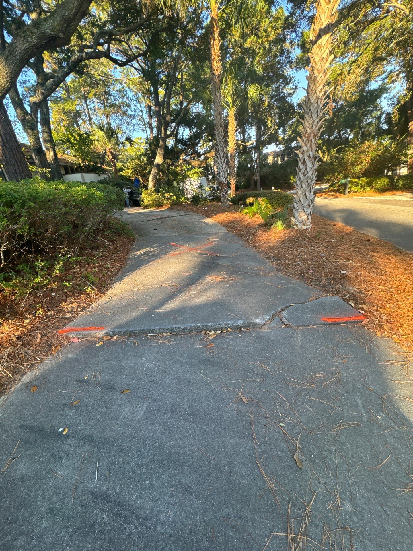 Concrete Driveway and Walkway Replacement in Hilton Head Island by Lowcountry Scapes, LLC