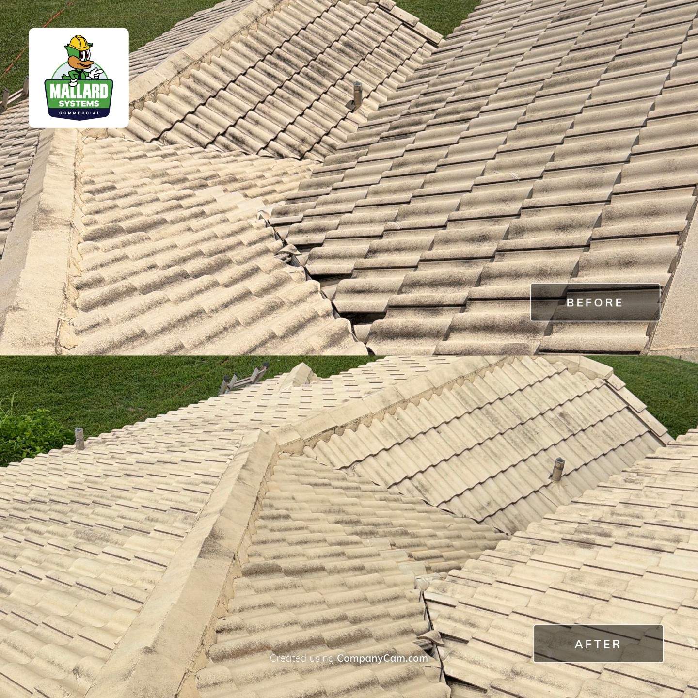 Tile Roof and Screened Enclosure Cleaning in Orlando by Mallard Systems