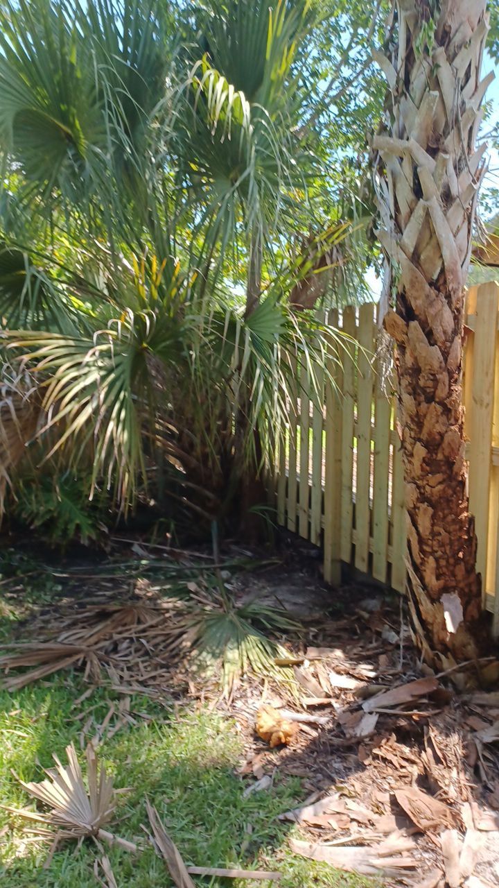 Nokomis, FL 6ft. Tall Treated Wood Shadowbox  by Asap fence and gates, LLC