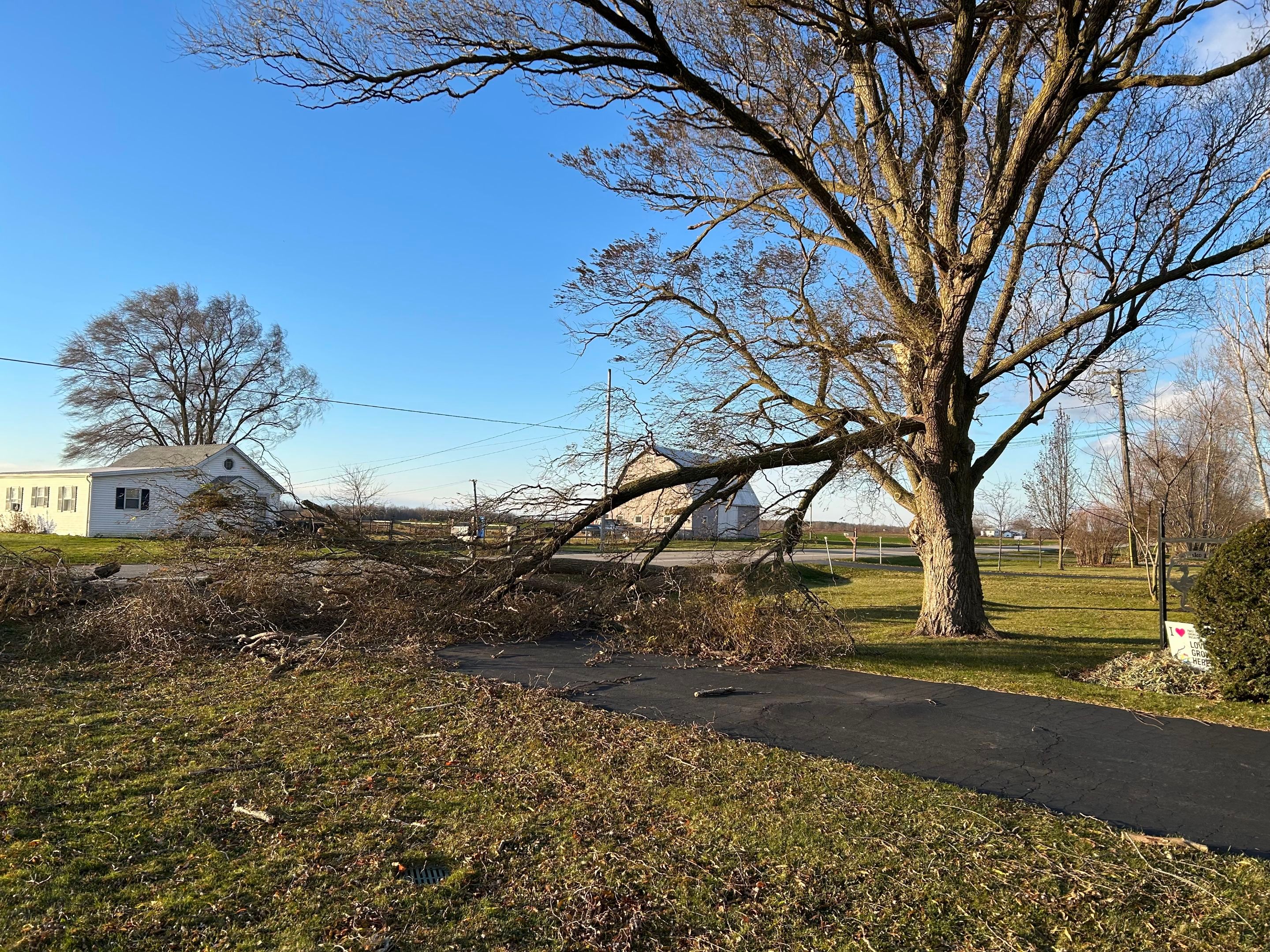 Emergency Job: Clear driveway by Treeman Tom LLC