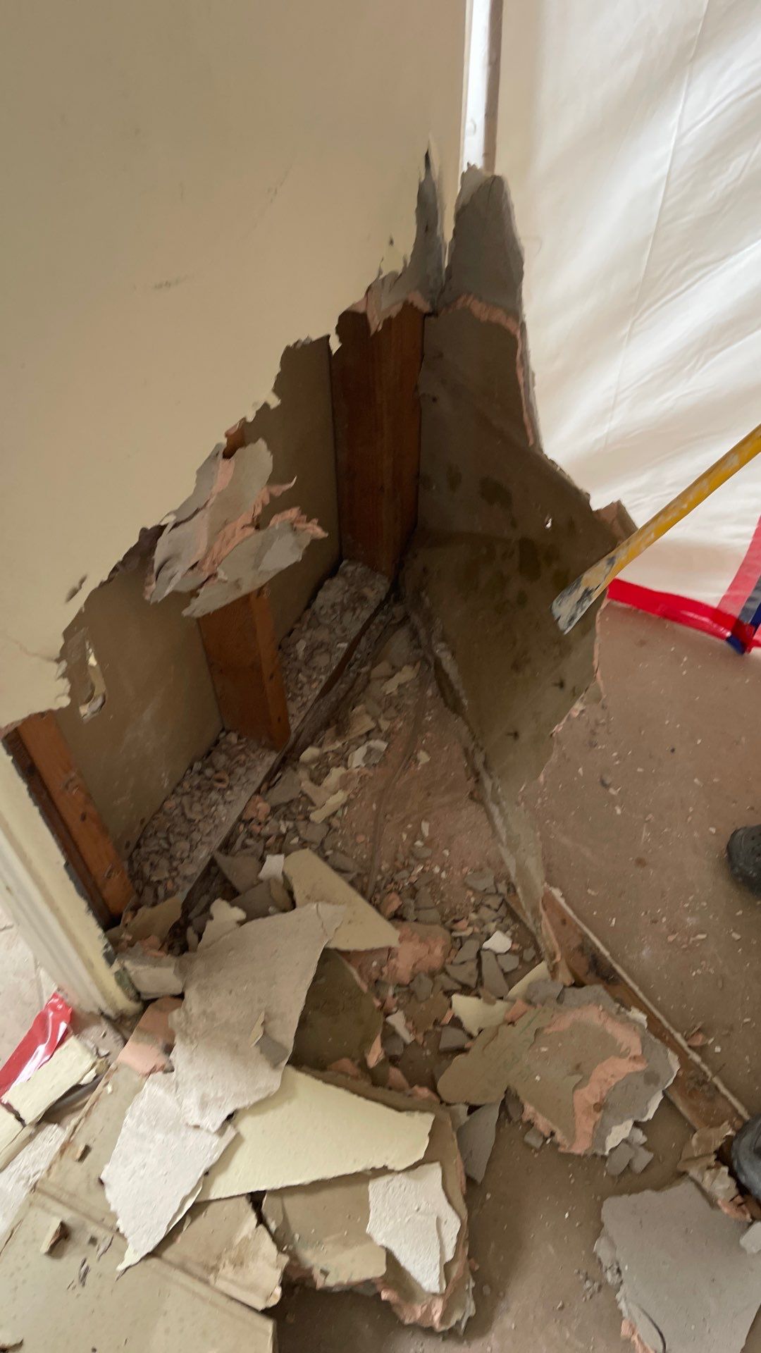 Mold Remediation  by THE RAPID TEAM