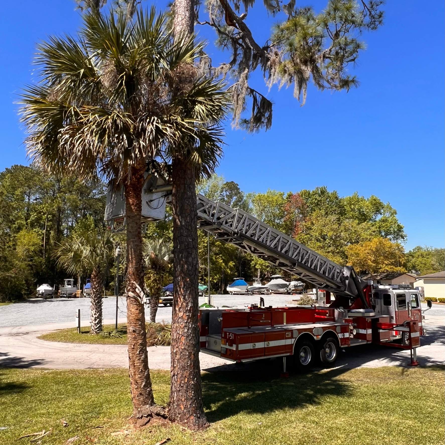 Tree Work | Florida Gun & Tackle by ProGreen Services