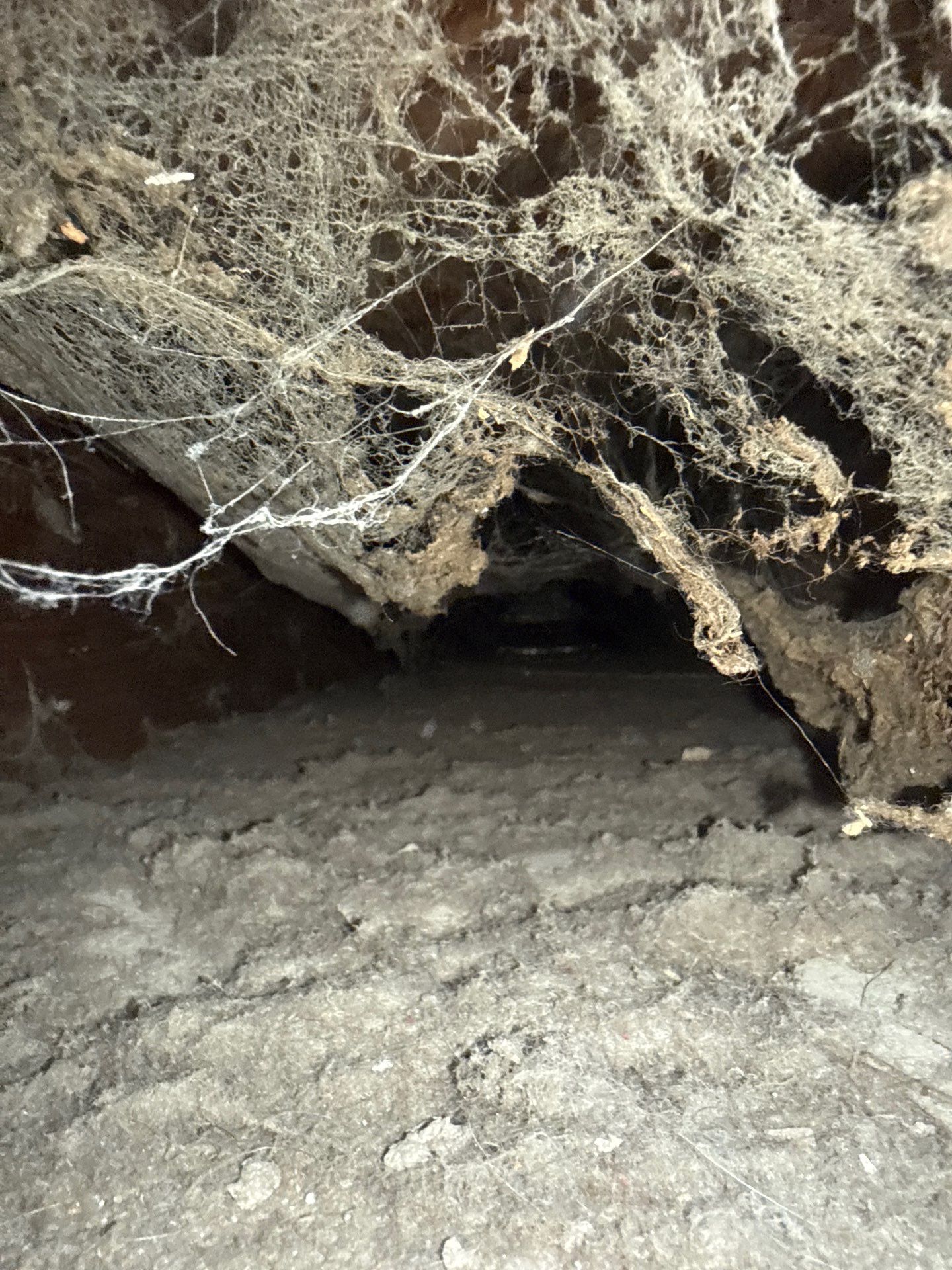 HVAC Duct Cleaning and Debris Extraction by Fox Hill Luxury Real Estate Services