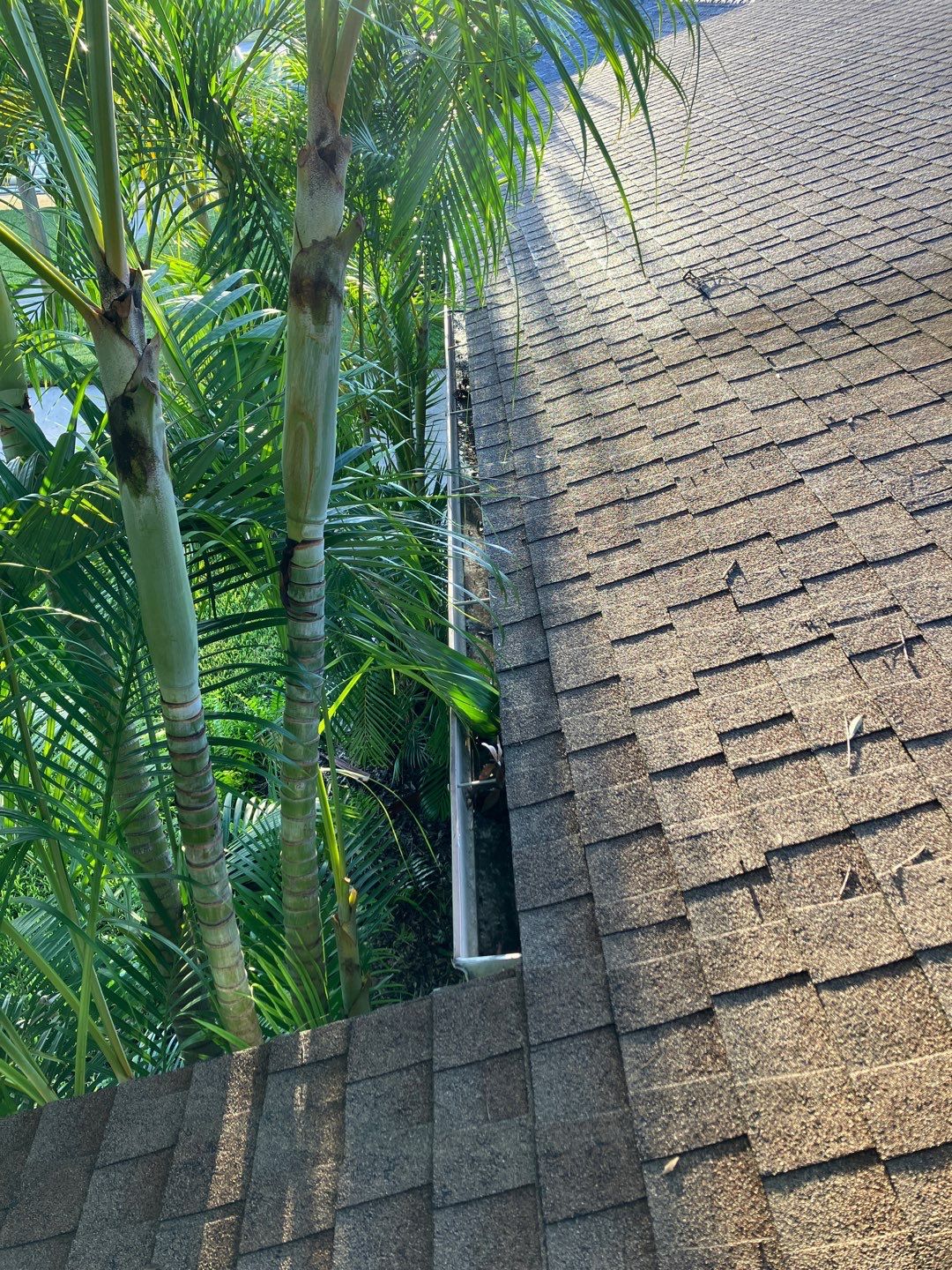 Project in St Pete 33709 by Mitchell Roofing Company LLC 
