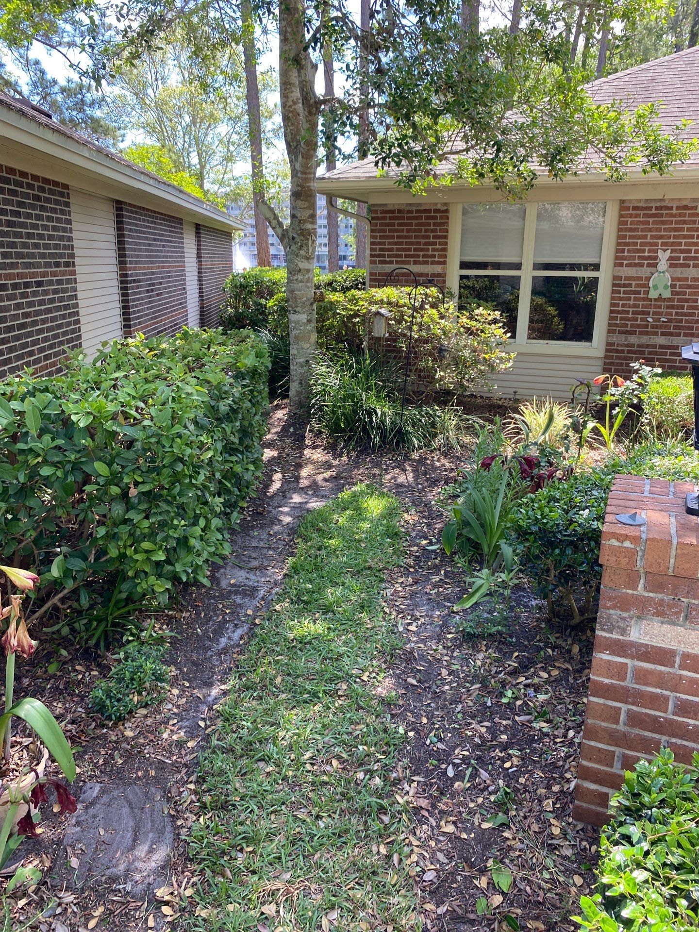 Residential | Volunteer Clean-Up by ProGreen Services