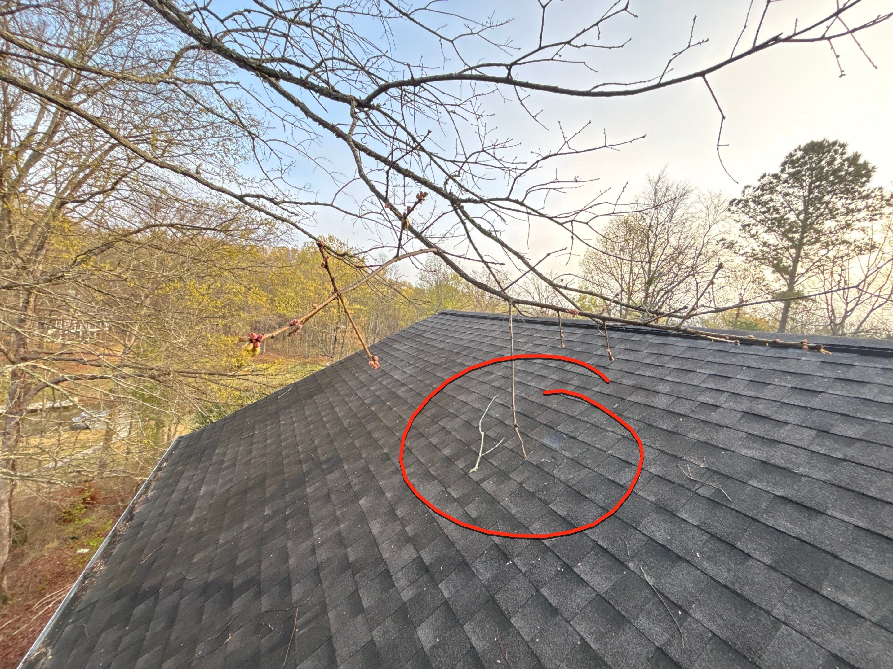 Year-old client calls us again by Deerfield Roofing LLC