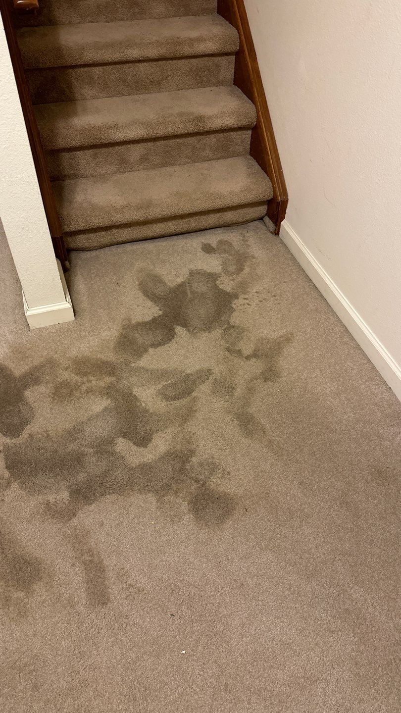 Water Damage by Accountable Home Services