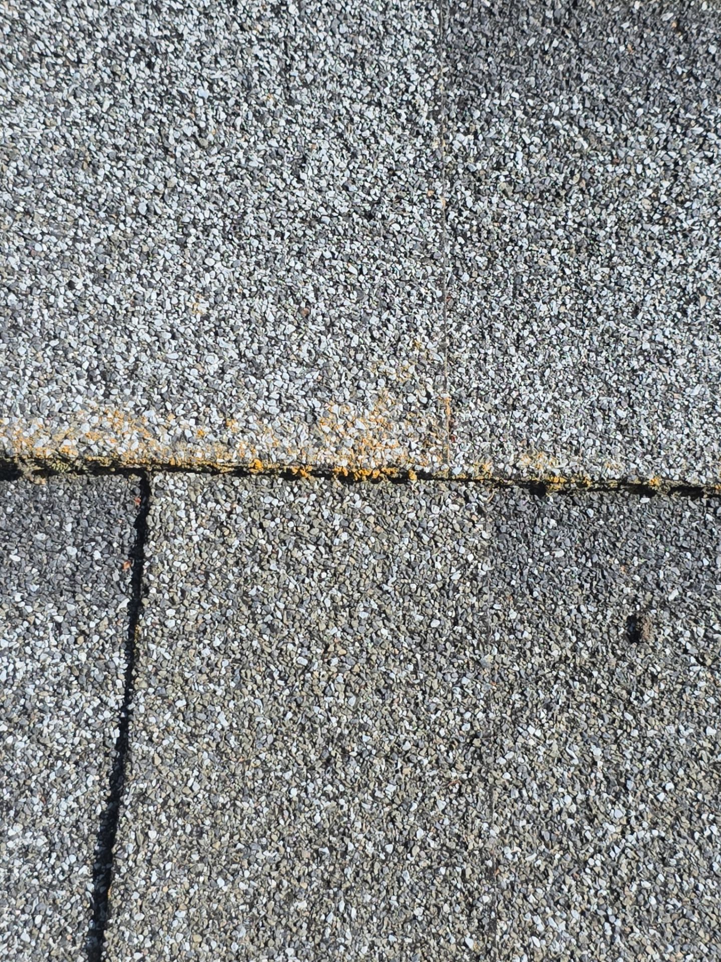 Roof Rejuvenation using Roof Maxx Treatment by Roof Maxx of Folsom