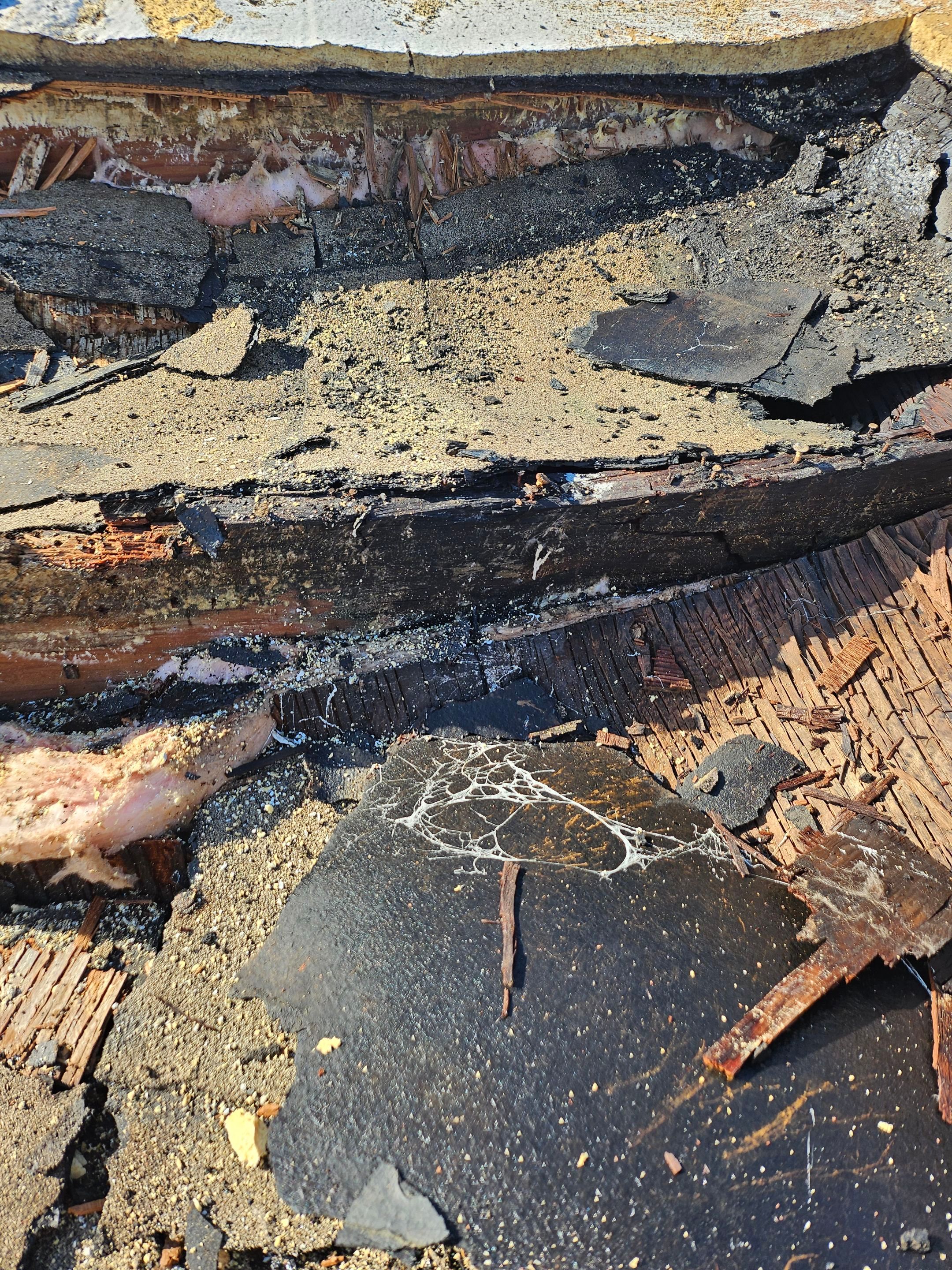 Foam Refurbish using Conklin Benchmark/PUMA XL coatings and spray foam by Straight Edge Roofing Inc