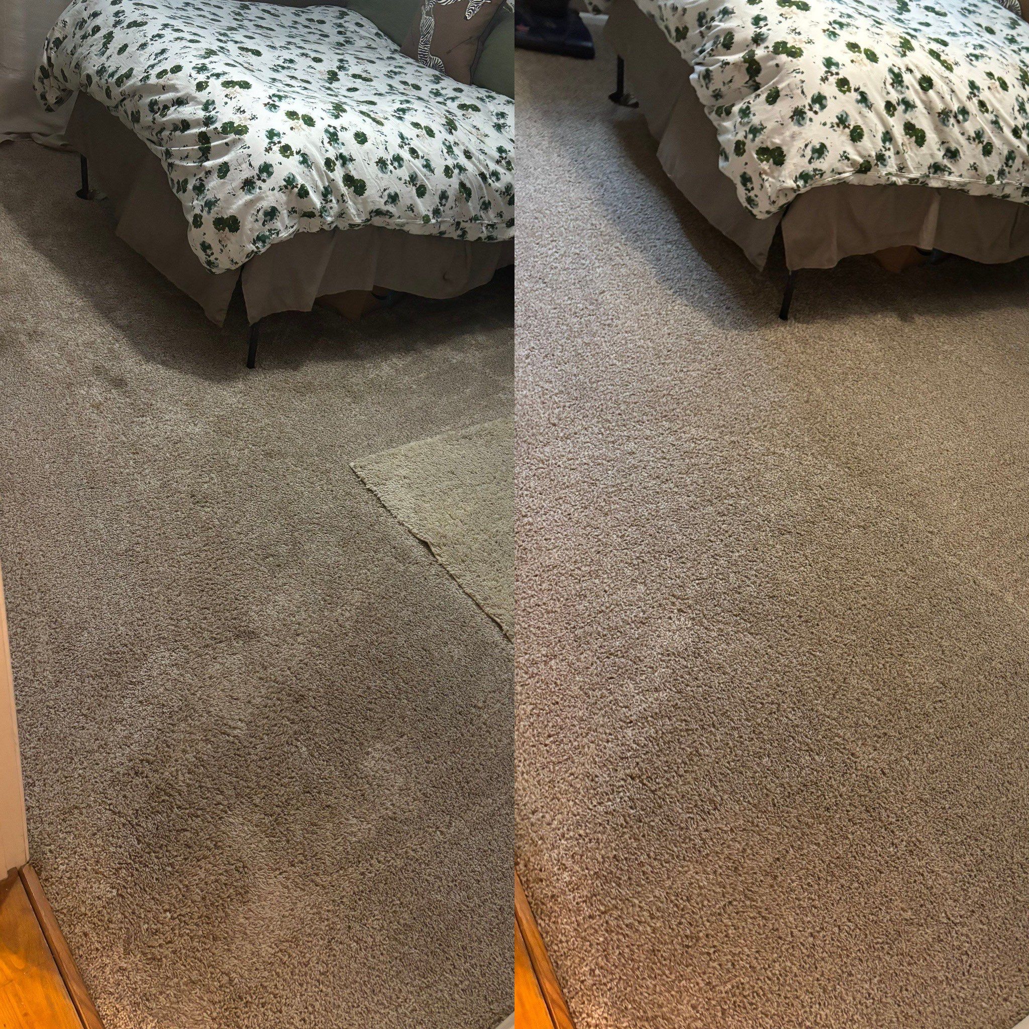 the service being done is deep carpet cleaning resulting in a noticeable difference in the cleanliness of the carpeted area