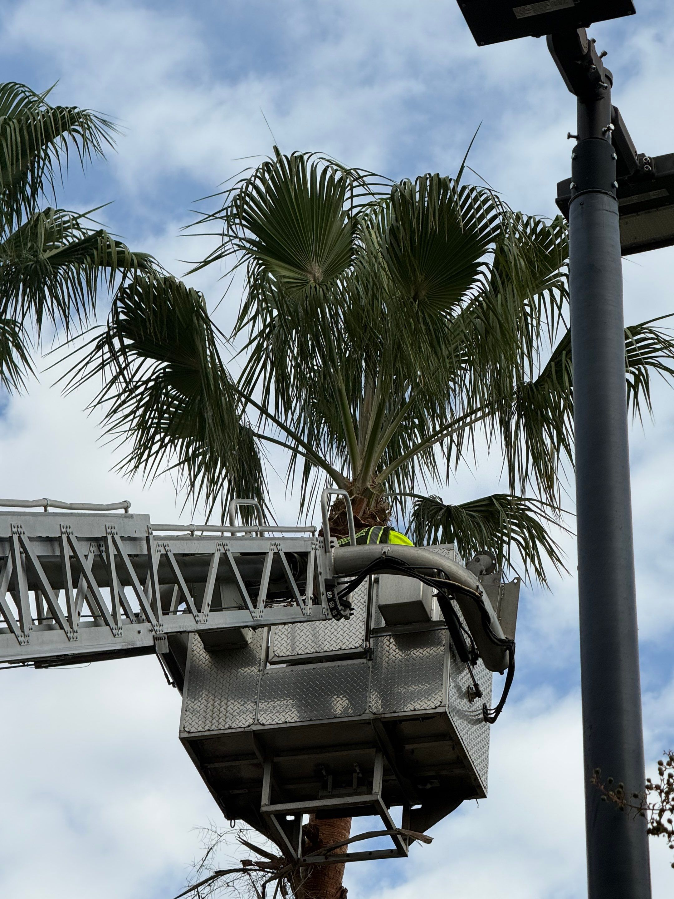 Volunteer Work | Episcopal High School of Jacksonville by ProGreen Services