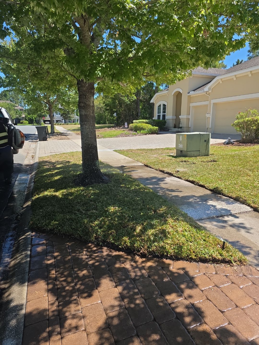 Residential | Sod Installation by ProGreen Services