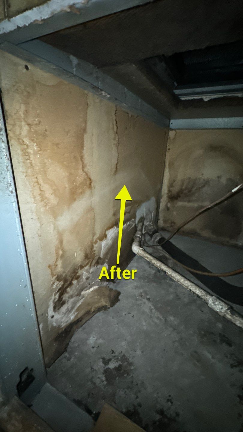 Commercial Air Duct Cleaning in Tavares by Hygienic Air, Inc