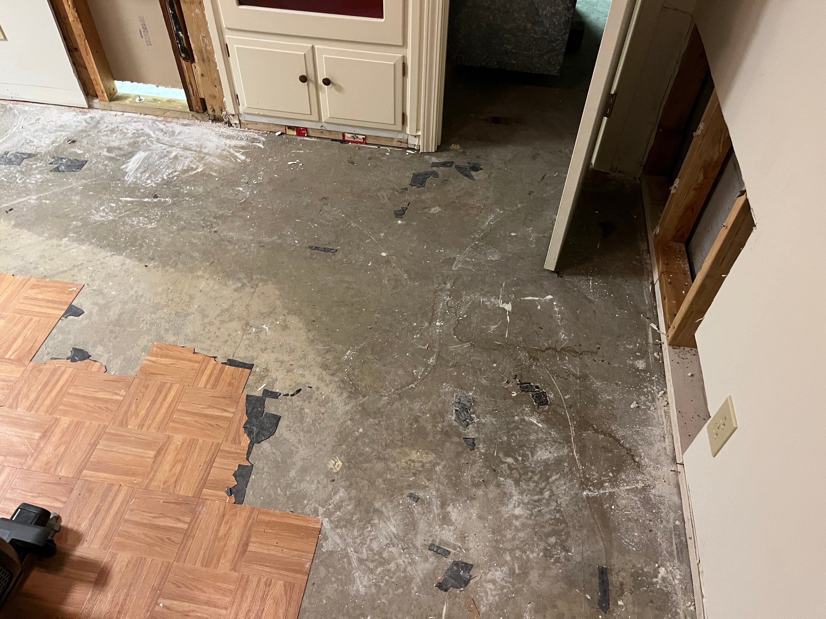 Water Mitigation and Restoration by ANR Restoration