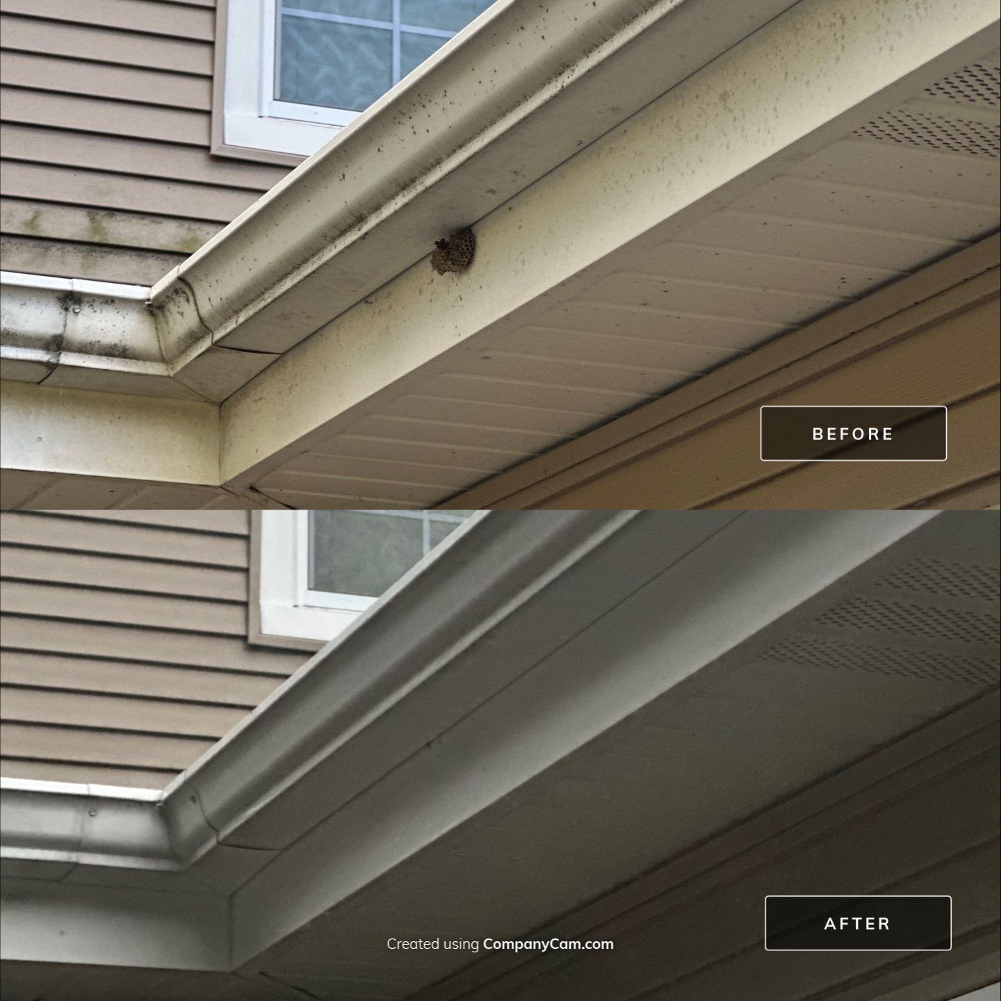 Project in Park Ridge by Simmons Power & Soft Washing