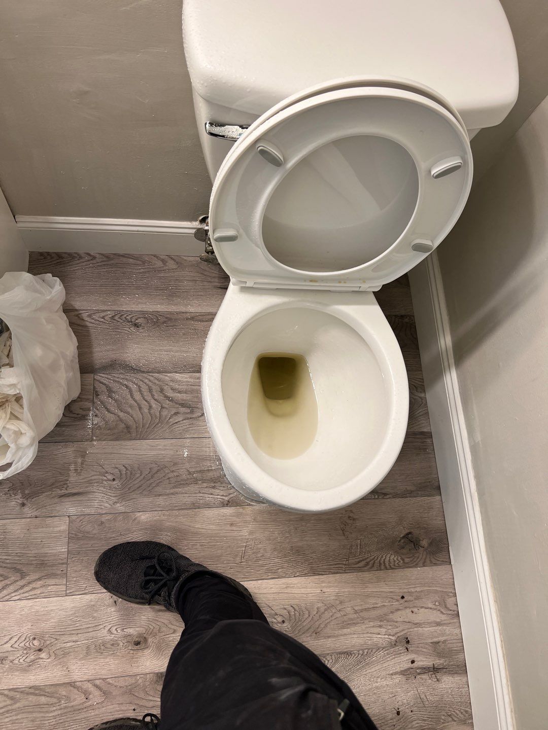 Project in Novi by EzDry Water Mitigation & Property Restoration