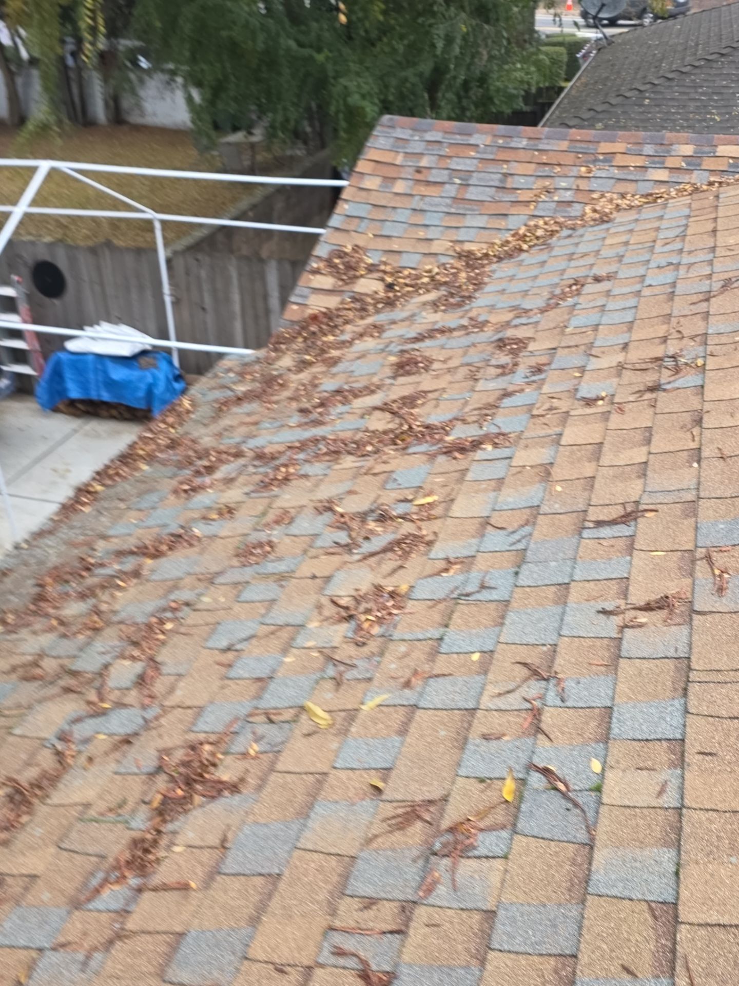 Roof Rejuvenation using Roof Maxx Treatment by Roof Maxx of Folsom