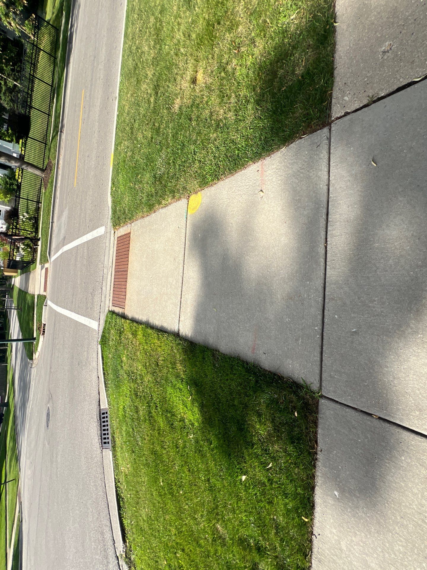 concrete cleaning using Algaecide, soft wash soap by Northern Power Washing LLC.