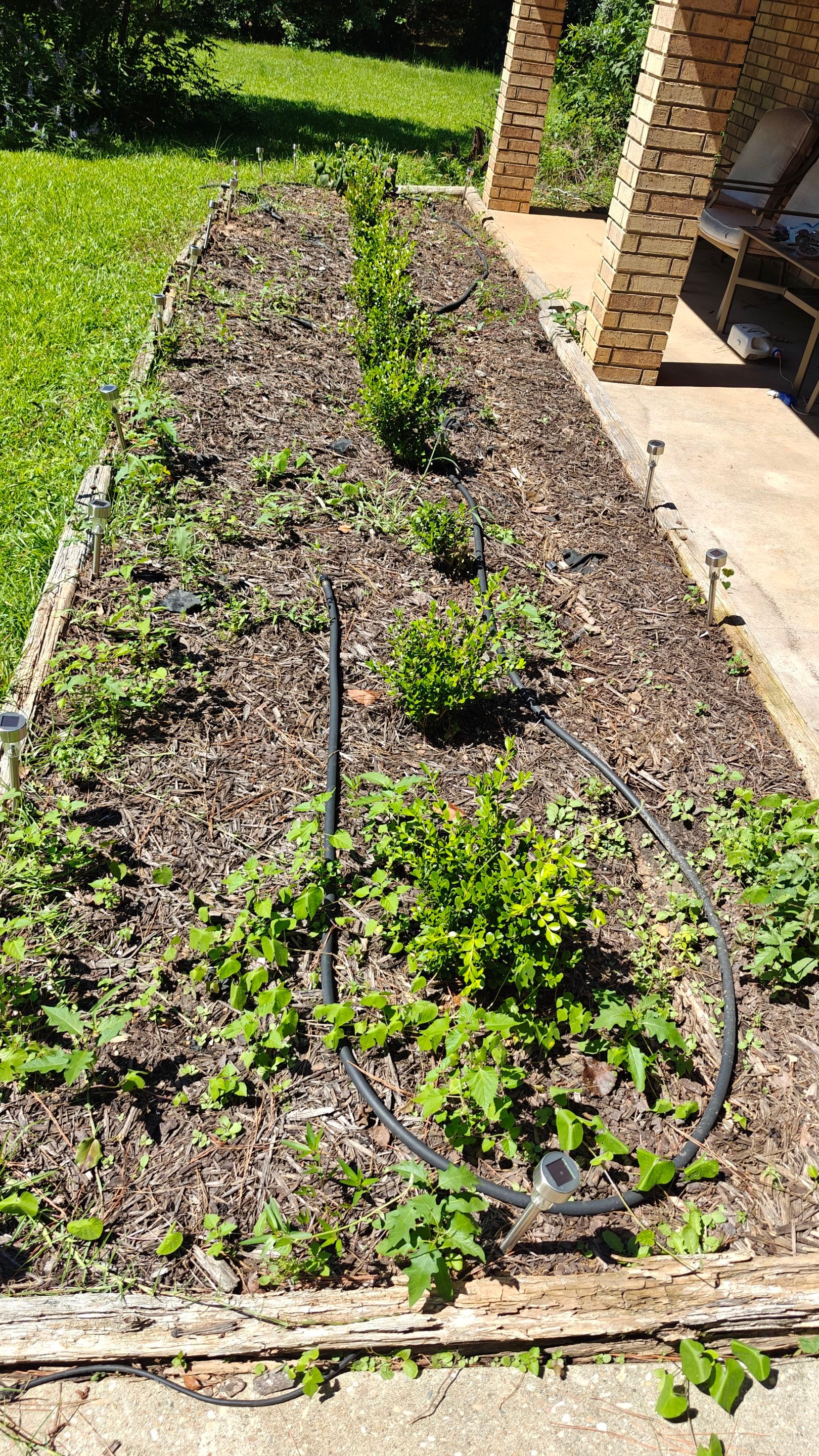 Bi Weekly Landscaping/ Weeding  by College Bros Outdoor services