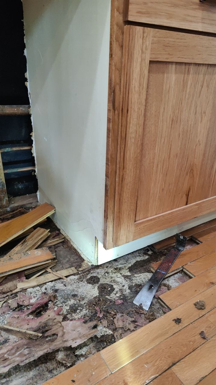 Mold Damage by Accountable Home Services