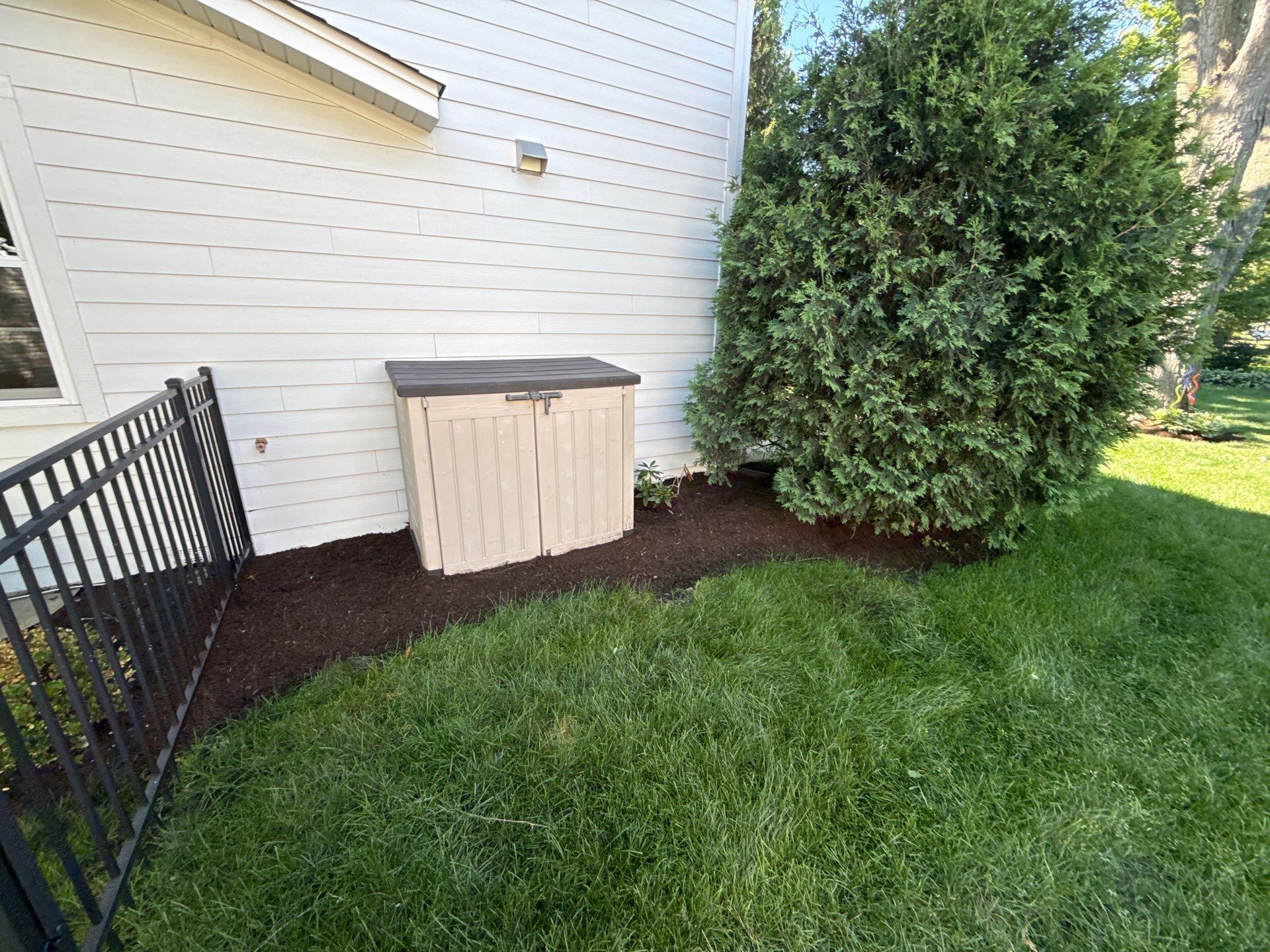 Lesley D. - Arlington Heights, IL by A&N 