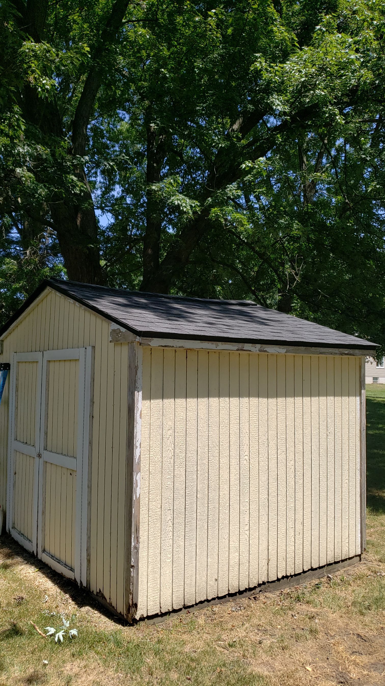 Atlas Pinnacle Pristine Color: Black Drip Edge: Black by Eagle Eye Roofing