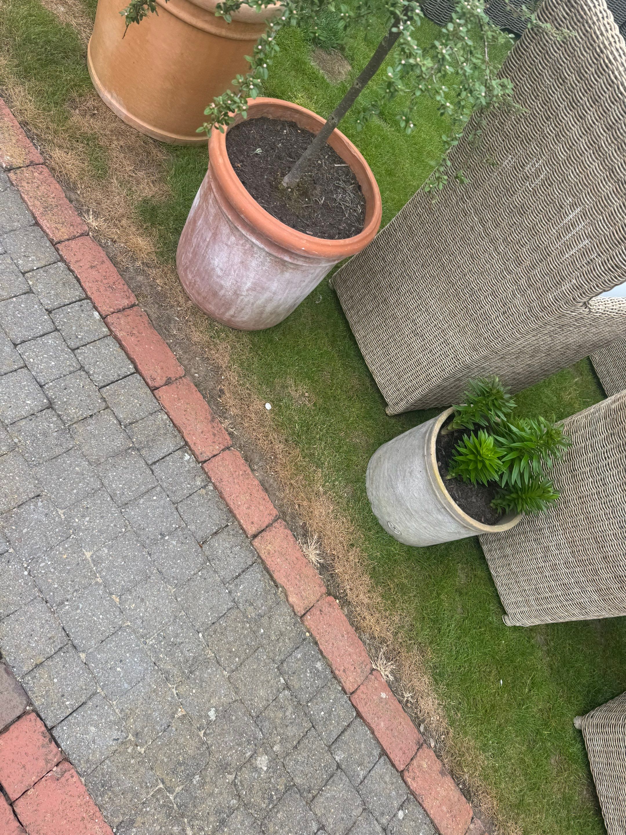 Roof Clean - Patio Clean using 18inch Whirlaway FSC by Ges Exterior Cleaning ltd