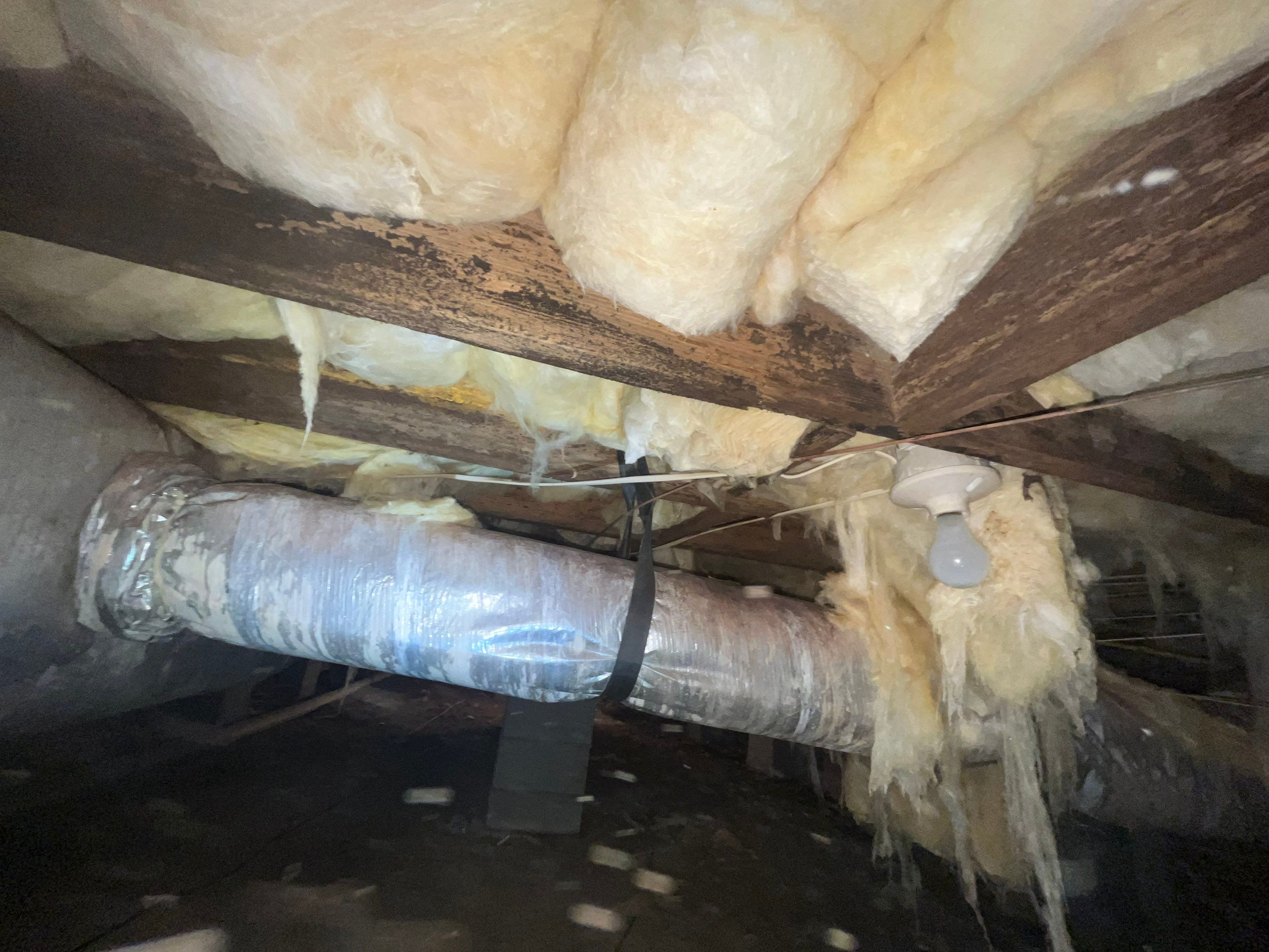 Dehumidifier and Moisture Barrier install with Structural repairs. by Impact Crawlspace