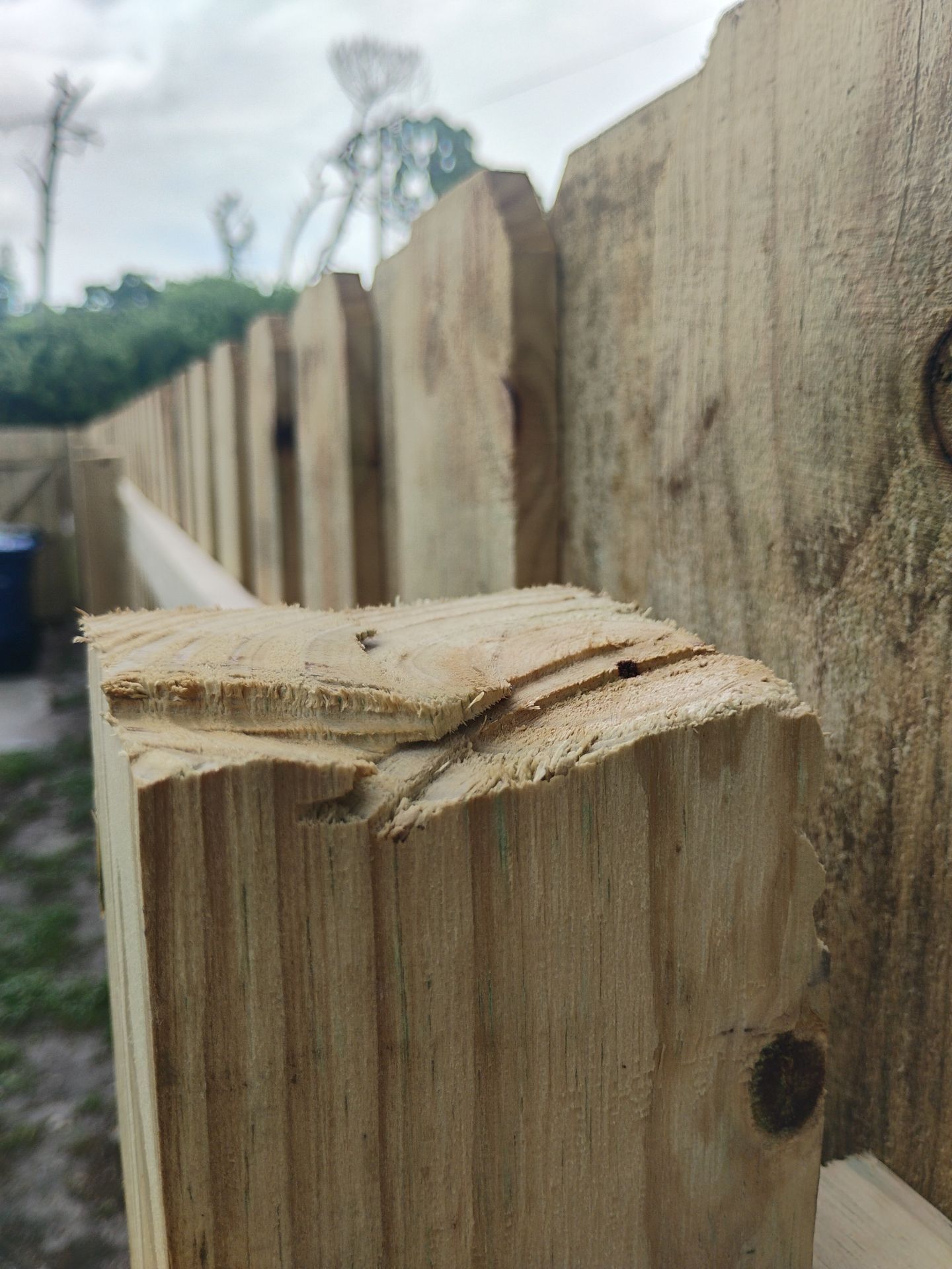 Custom Wood Privacy Fence and Double Gate in Venice by True Fence LLC