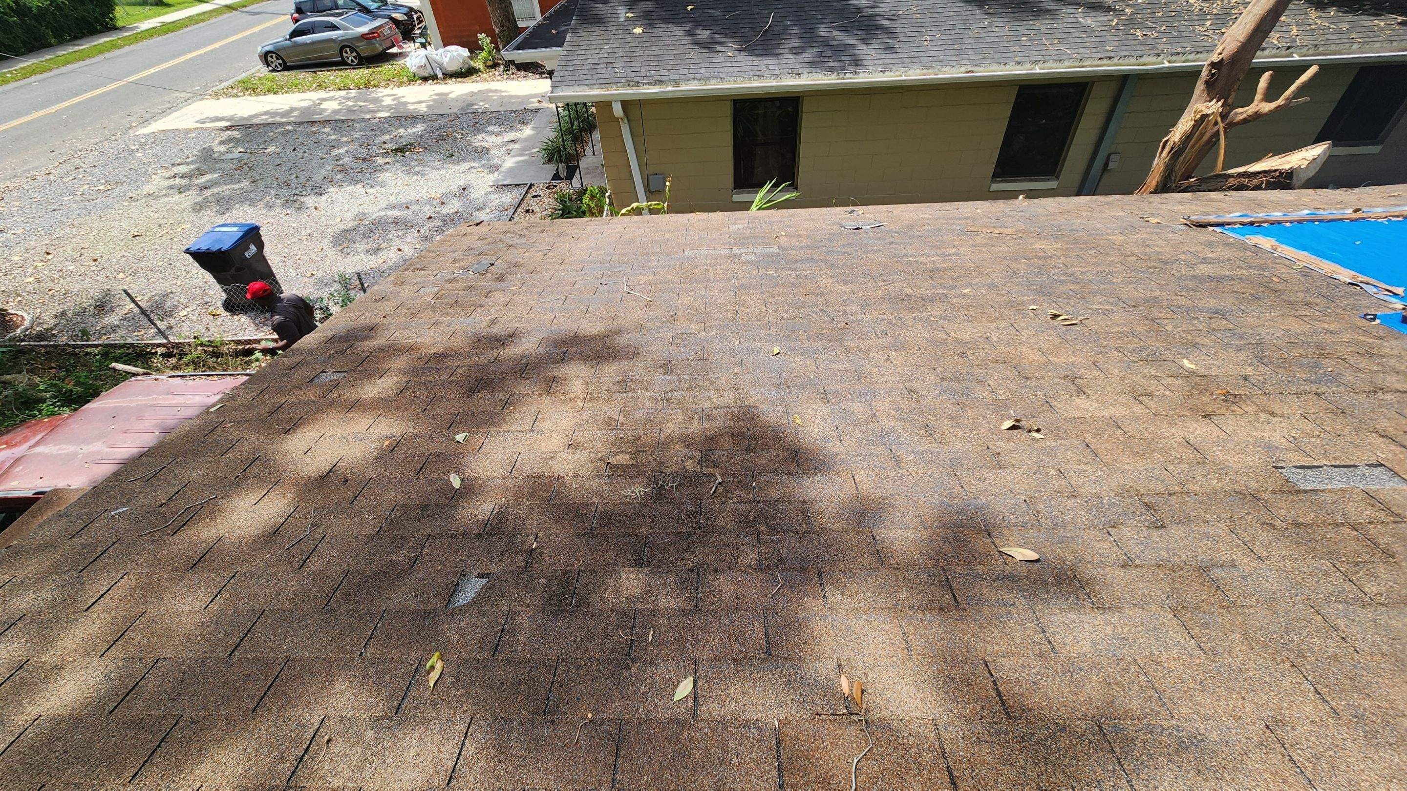 Tree Damage Claim in Orlando by FLAPA & KeyStone