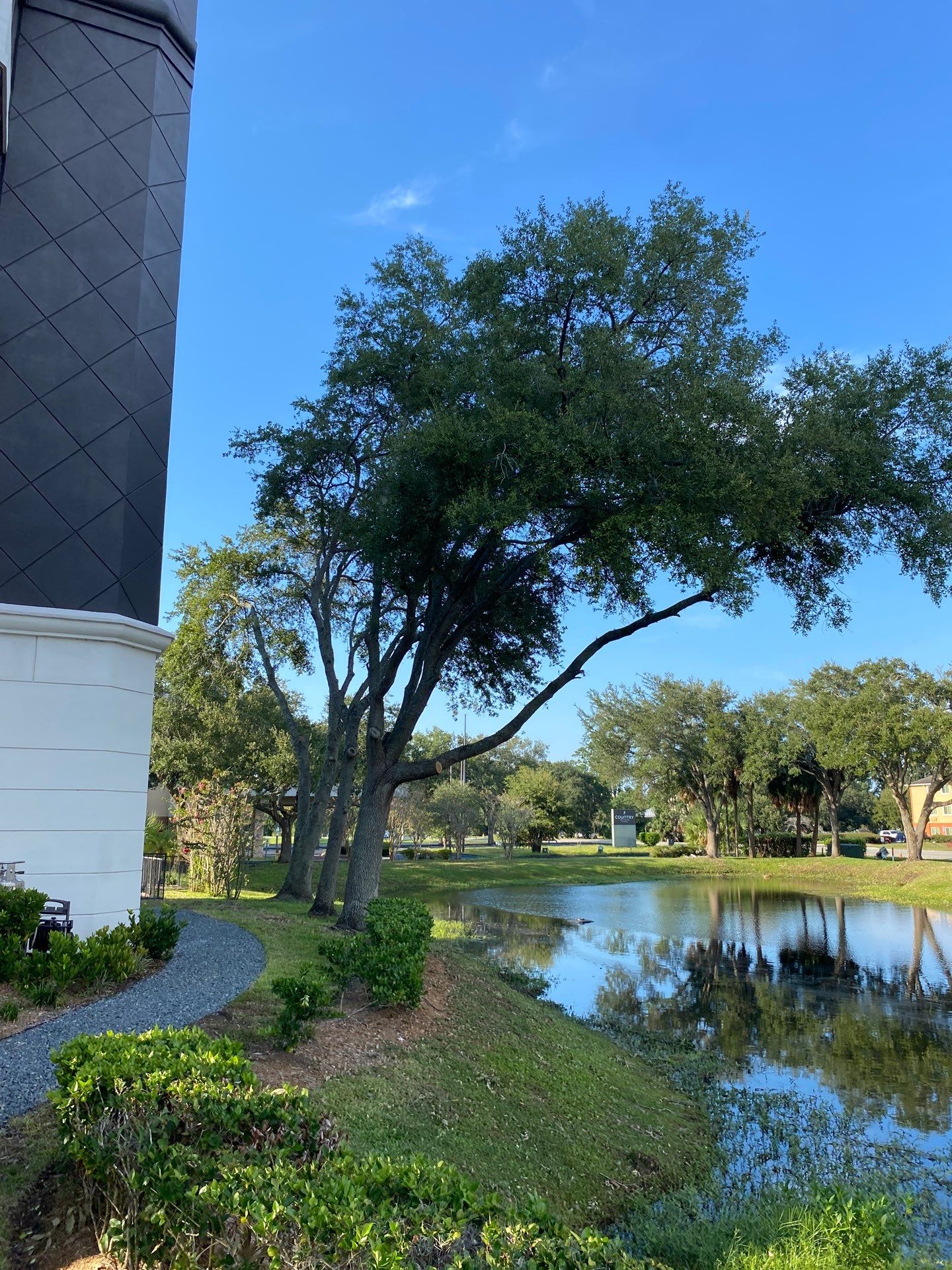 Tree & Shrub Removal | Marriott Hotel by ProGreen Services