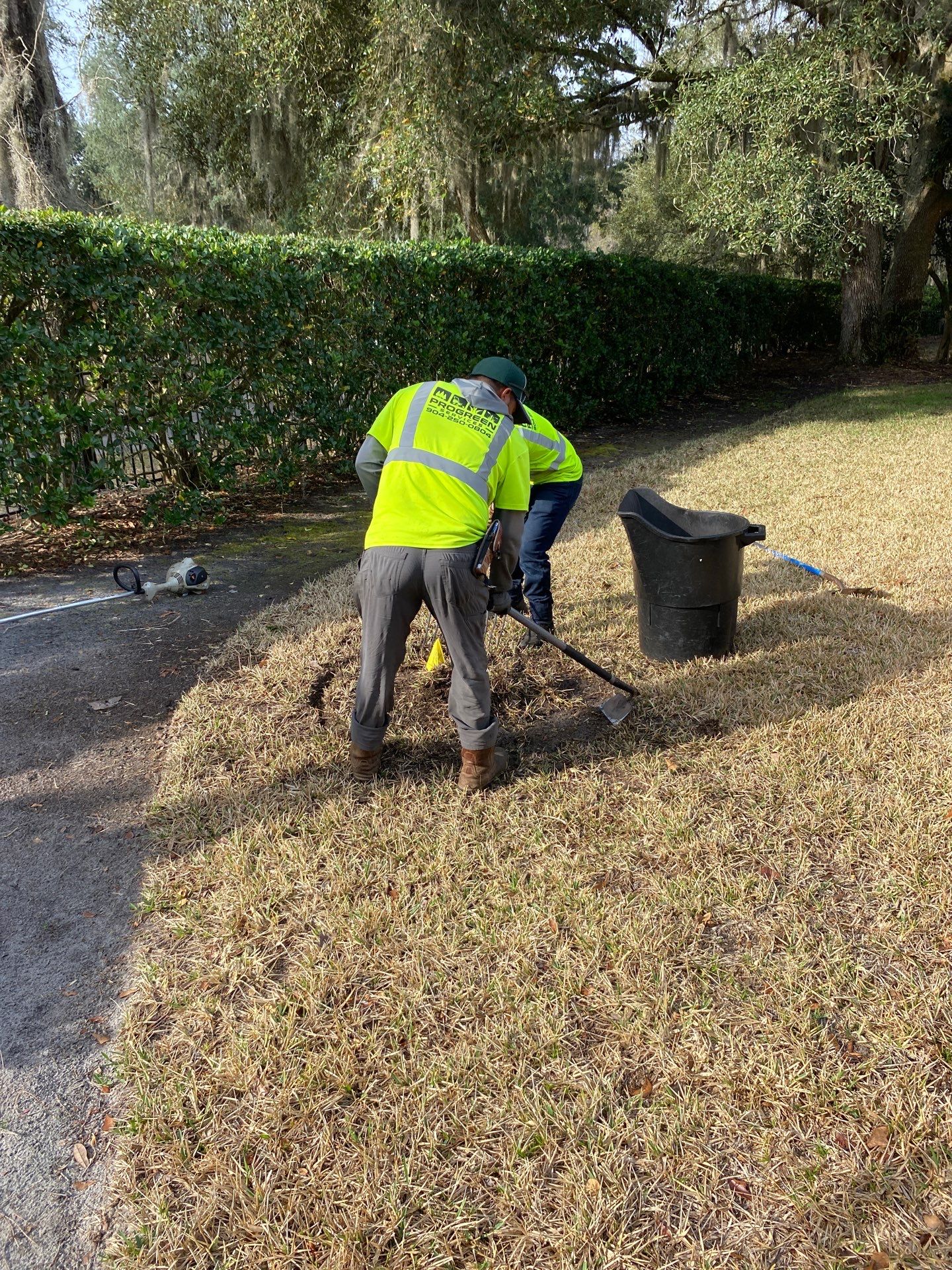Deerwood Resident | Tree Install by ProGreen Services