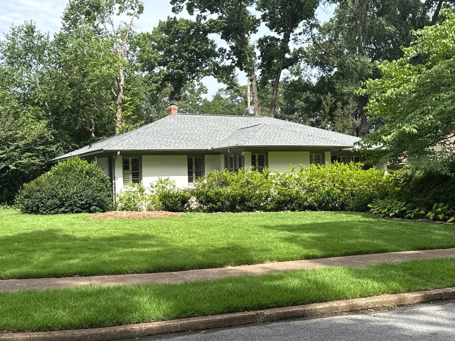 Tree Damage Restoration and Asphalt Shingle Roof Replacement in Memphis by Revival Roofing Services