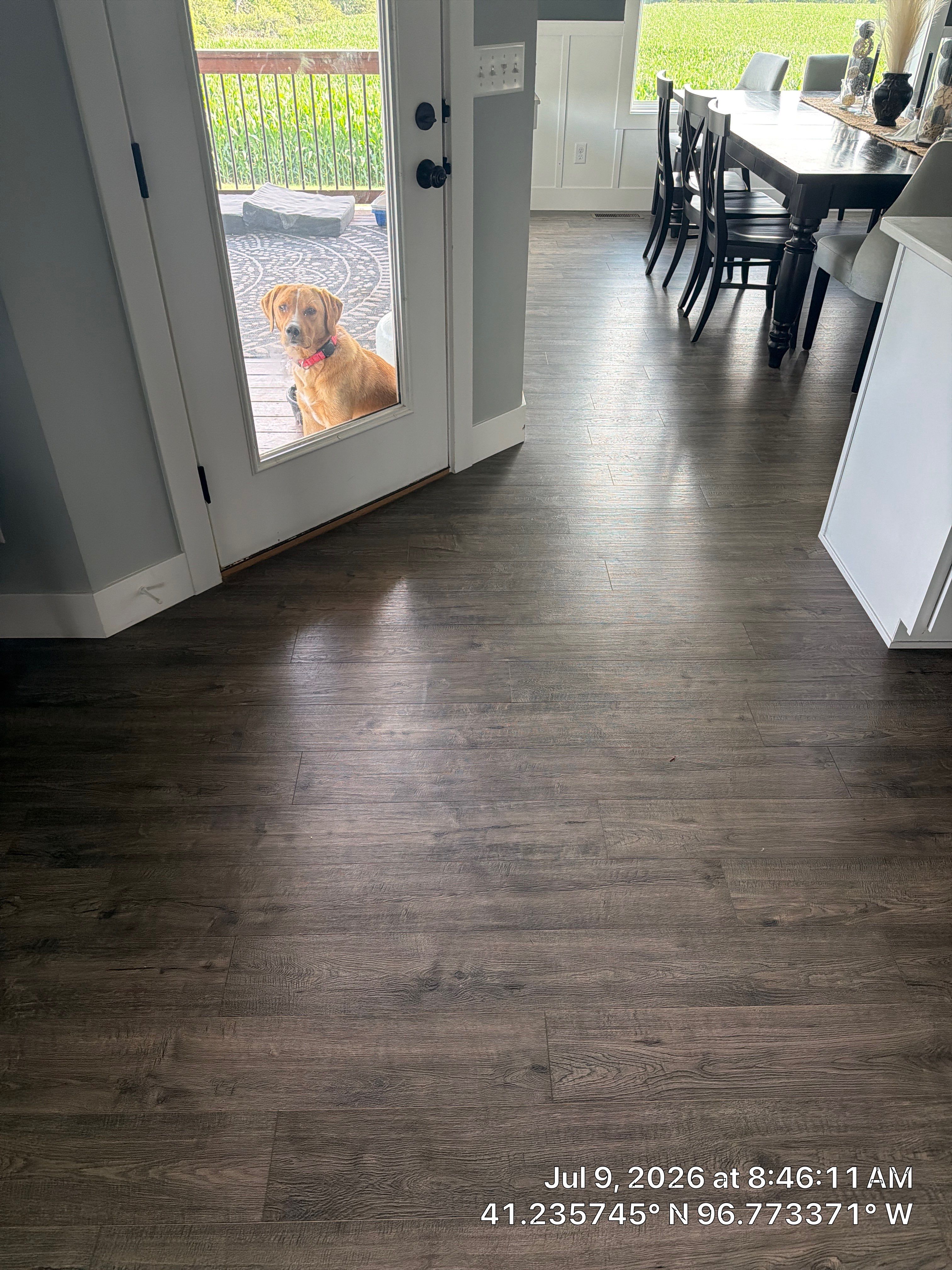 Custom New Home Construction With Modern Finishes in Malmo by Customer Success Demo Account
