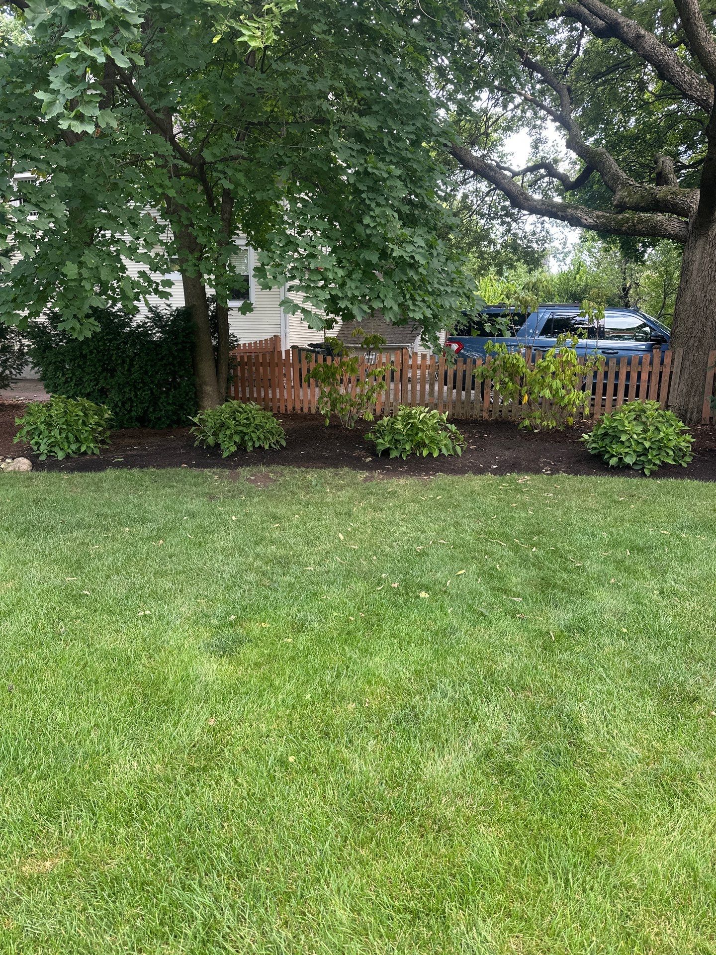 Scott M. - Arlington Heights, IL by A&N