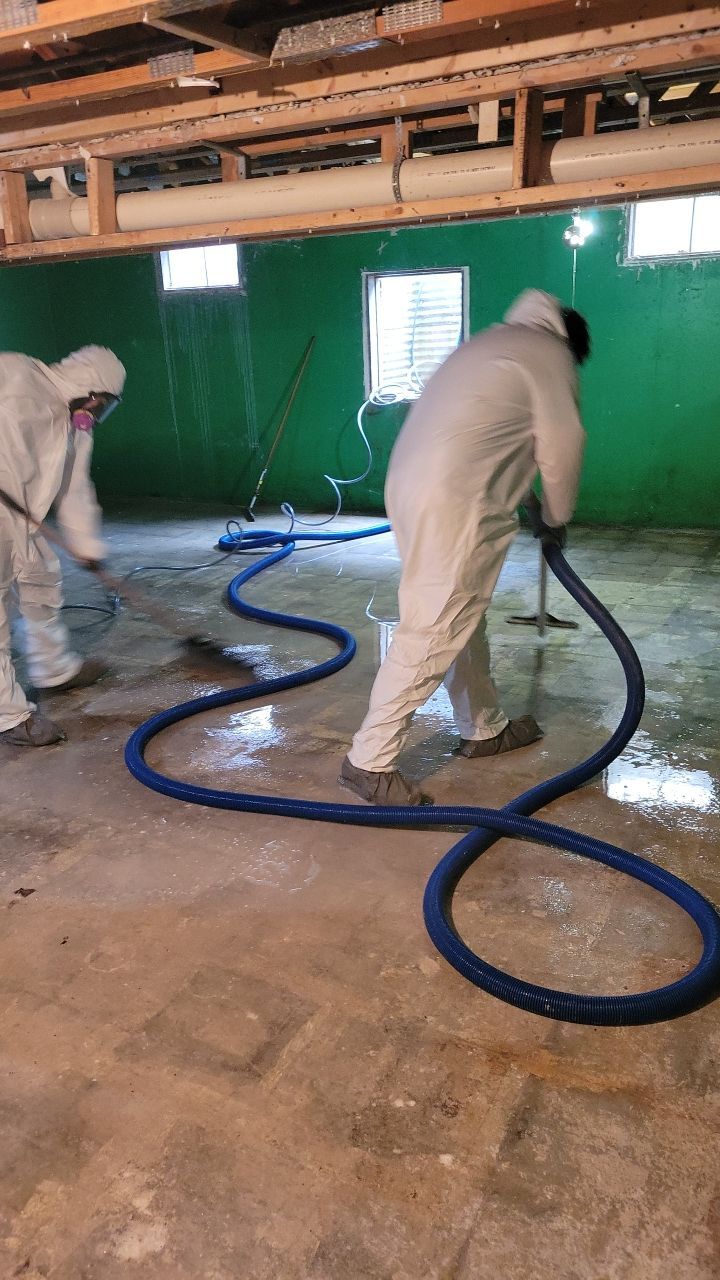 Grossly Contaminated Basement Mold by Chicagoland Water Medics