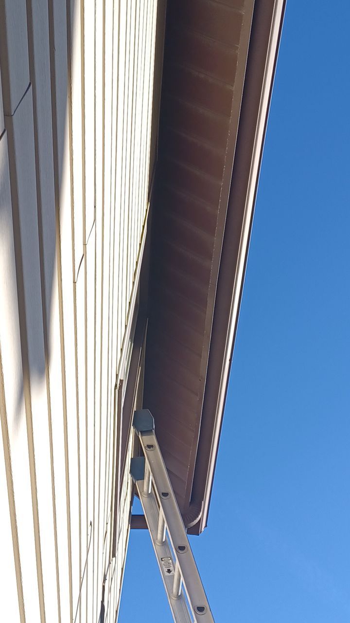 Fran Bush by Silver Leaf Contracting 