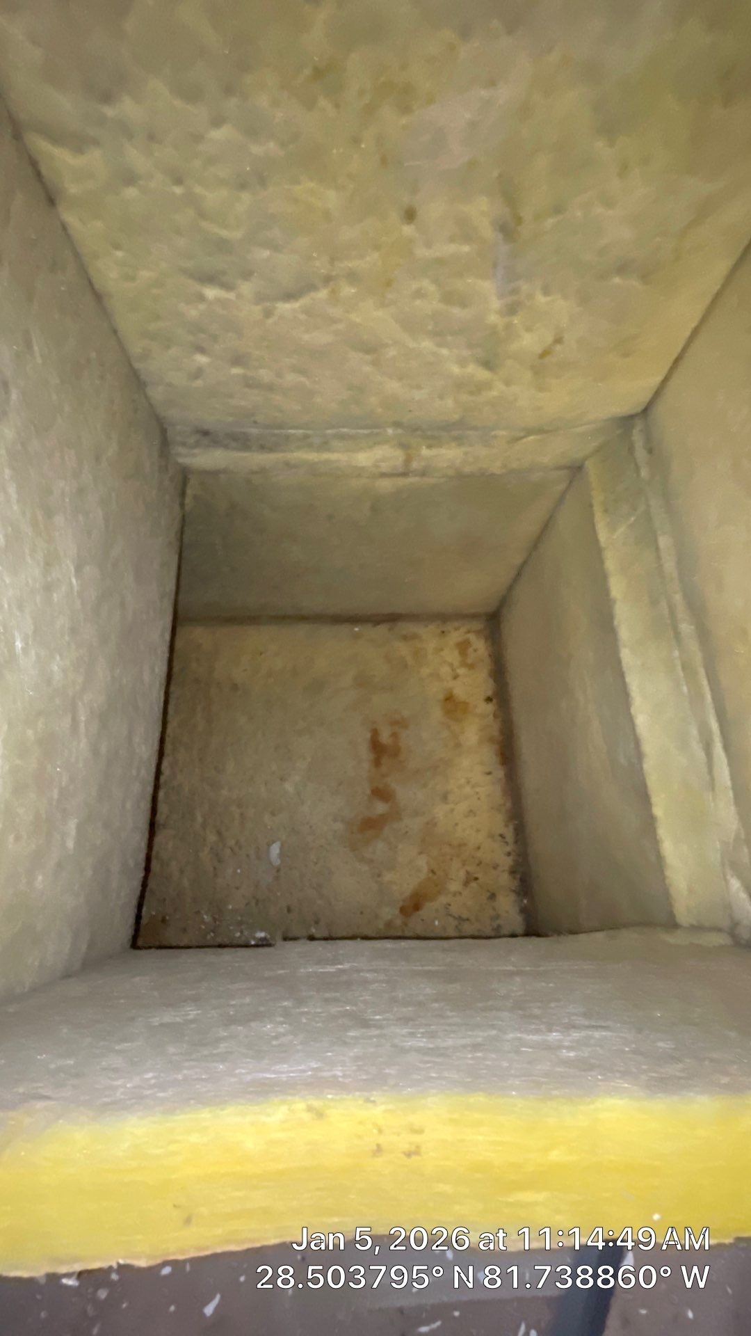 Air Duct and Dryer Vent cleaning in Clermont by Hygienic Air, Inc