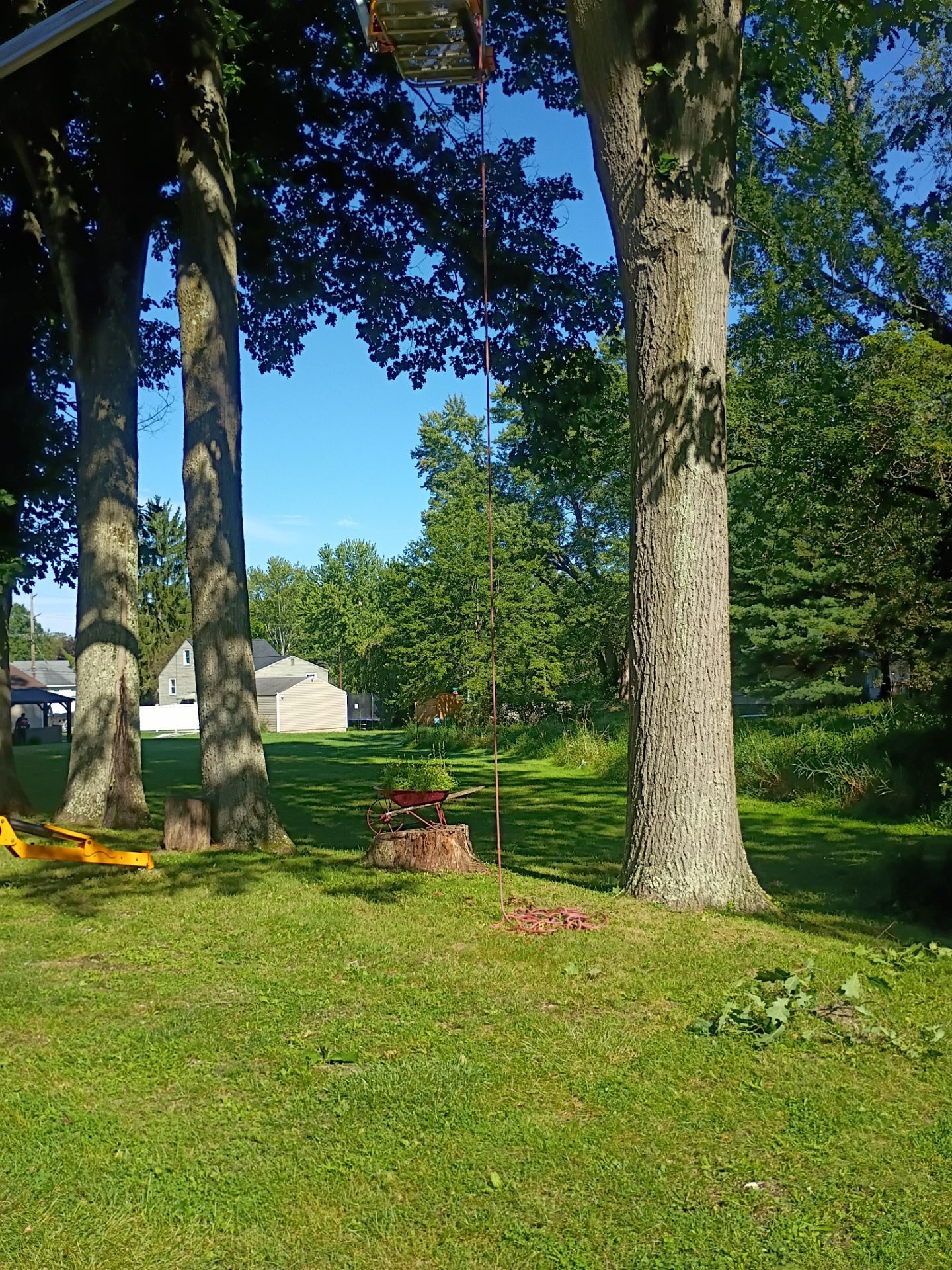 Tree Trimming & Tree Removal in Akron Ohio by Mike Jones & Sons Tree Service LLC 