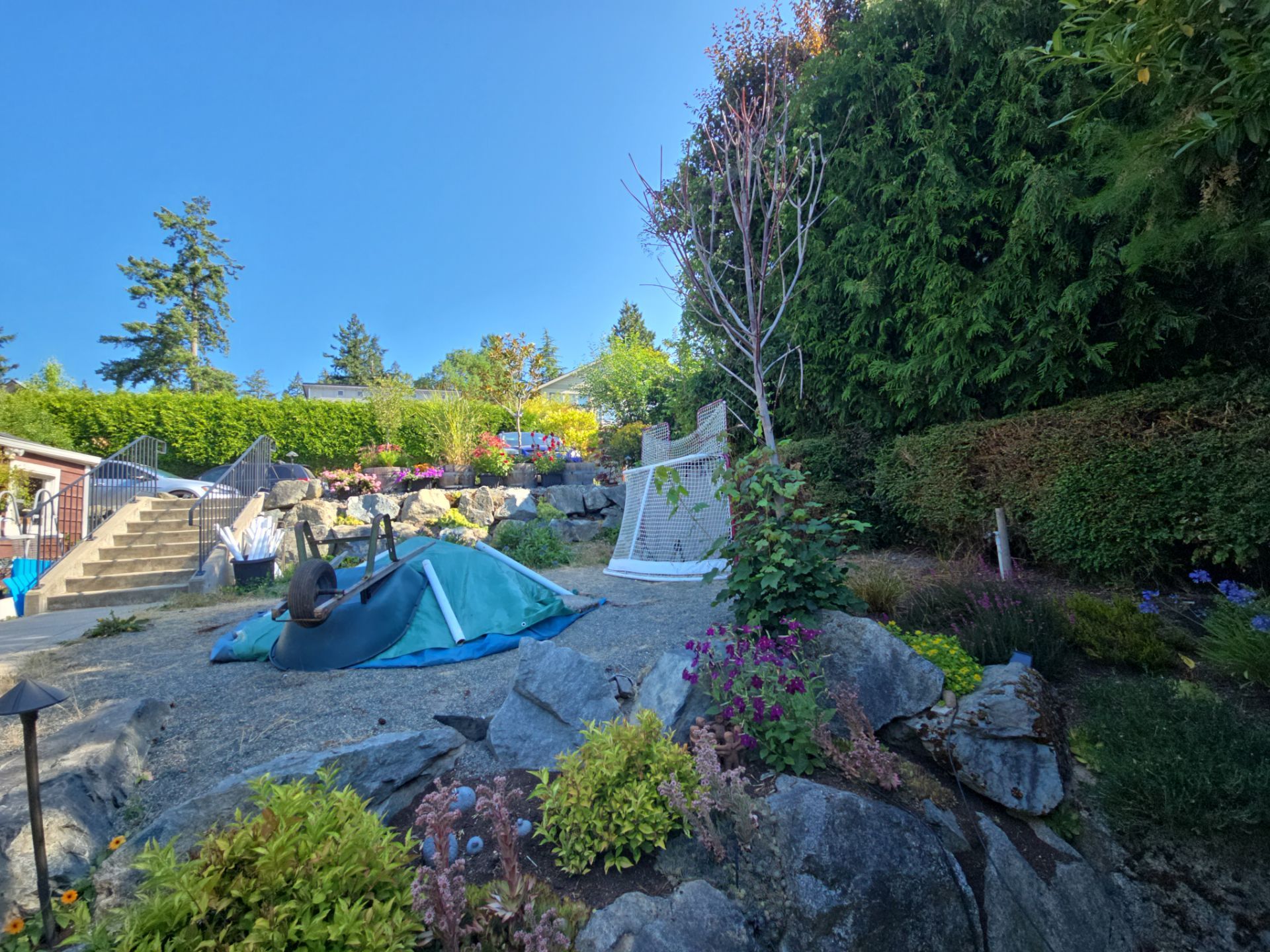 Backyard Transformation — Custom Shed, Paver Patio & Retaining Wall by Habanero Garden and Exterior Care