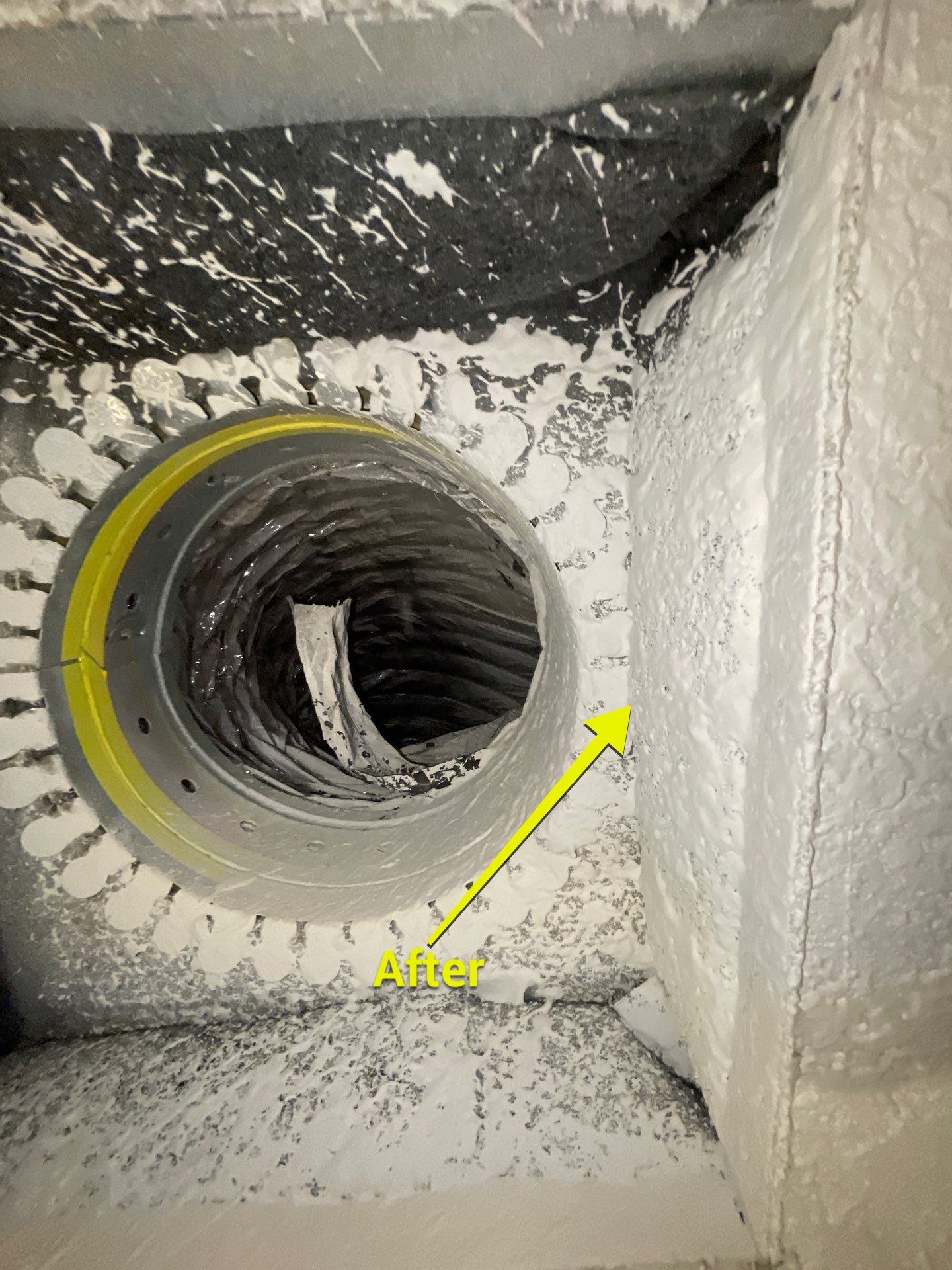 Air Duct Dryer Vent Cleaning in Winter Garden by Hygienic Air, Inc