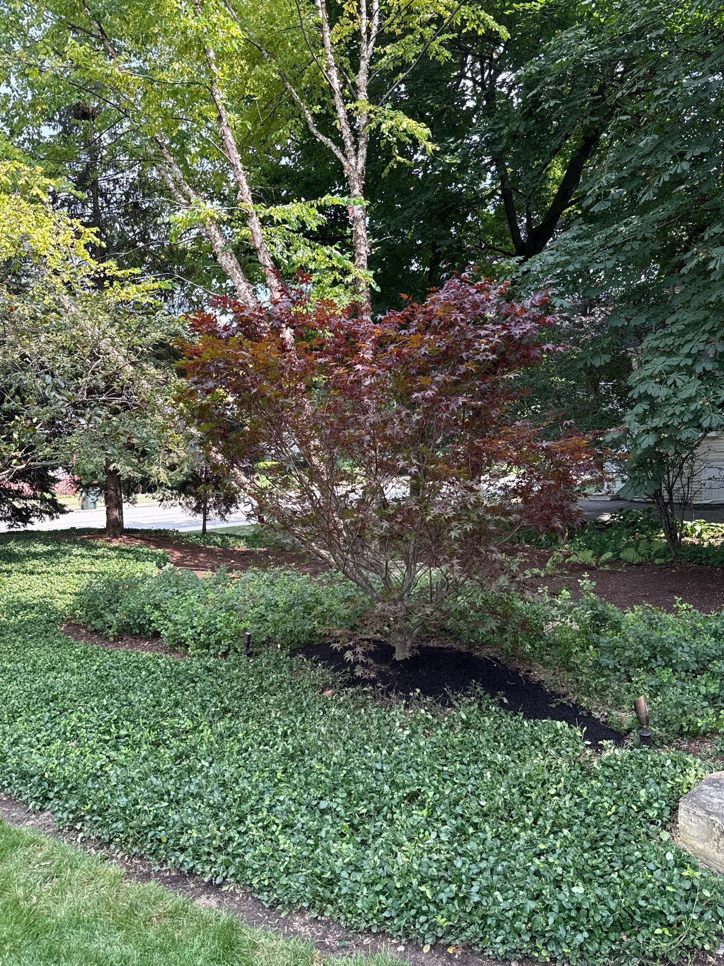 Scott M. - Arlington Heights, IL by A&N