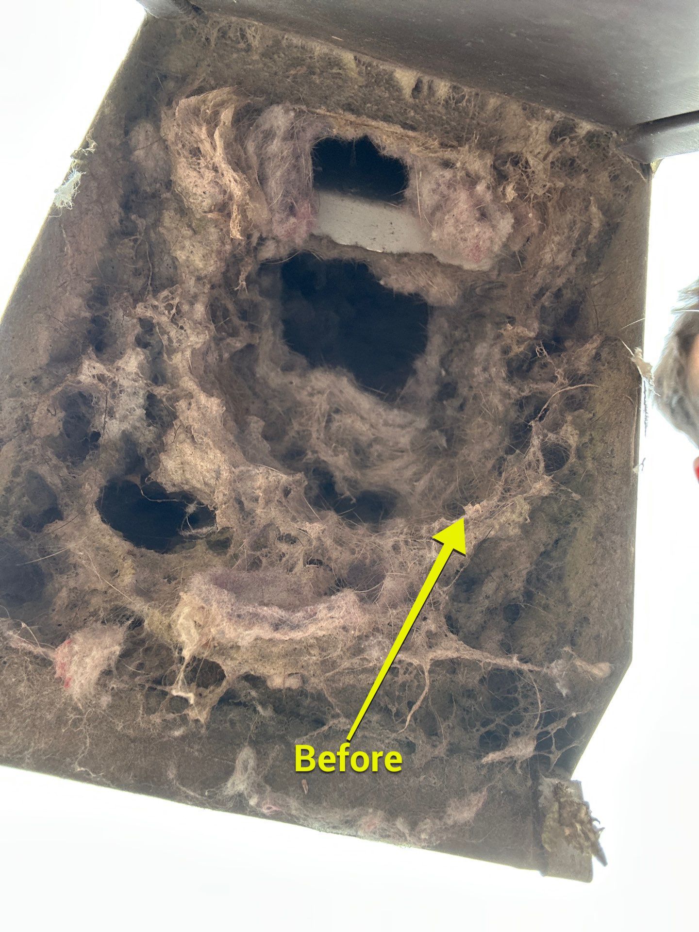 Air Duct Dryer Vent Cleaning Dryer Vent Repair in Minneola by Hygienic Air, Inc